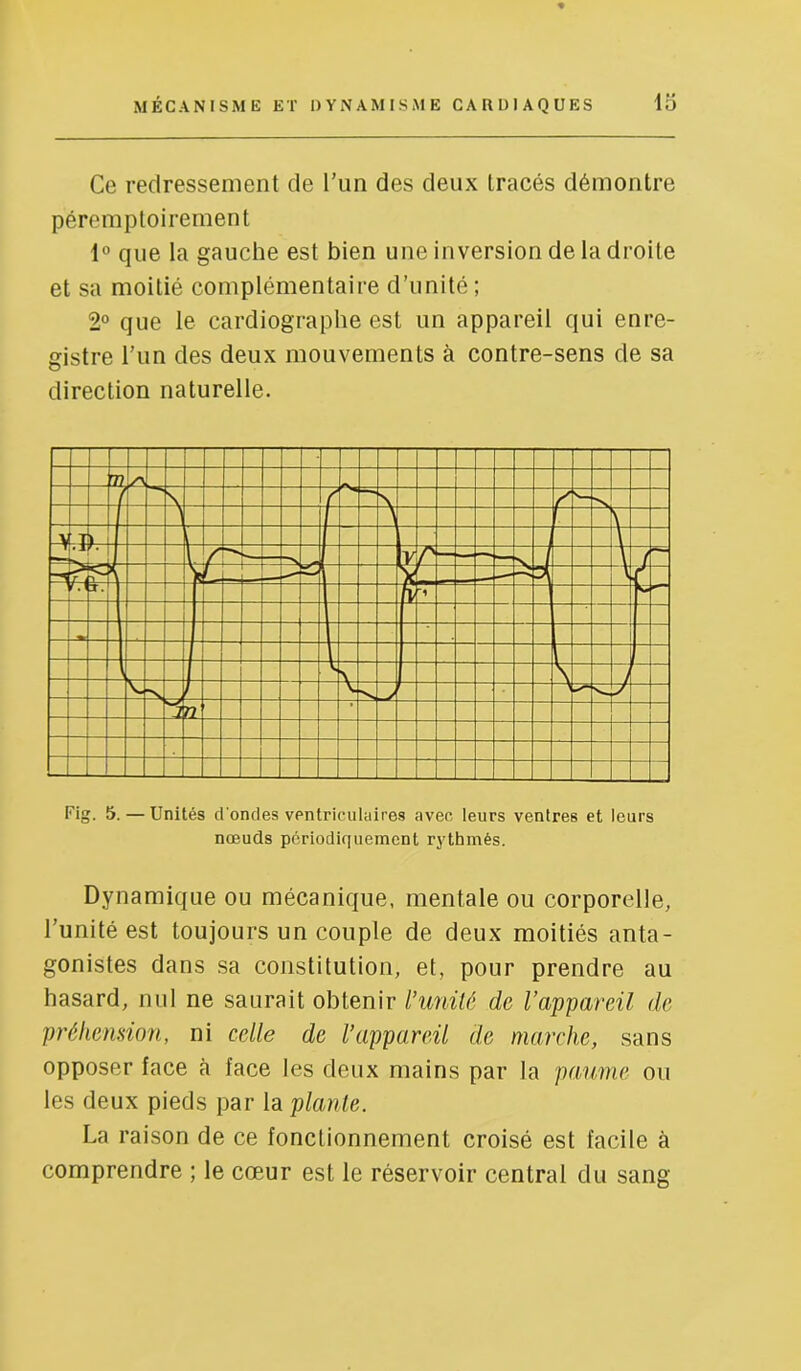 Ce redressement de l’un des deux tracés démontre péremptoirement 1° que la gauche est bien une inversion de la droite et sa moitié complémentaire d’unité ; 2° que le cardiographe est un appareil qui enre- gistre l'iin des deux mouvements à contre-sens de sa direction naturelle. Dynamique ou mécanique, mentale ou corporelle, l’unité est toujours un couple de deux moitiés anta- gonistes dans sa constitution, et, pour prendre au hasard, nul ne saurait obtenir l’unilé de l’appareil de préhension, ni celle de l’appareil de marche, sans opposer face à face les deux mains par la paume ou les deux pieds par la plante. La raison de ce fonctionnement croisé est facile à comprendre ; le cœur est le réservoir central du sang