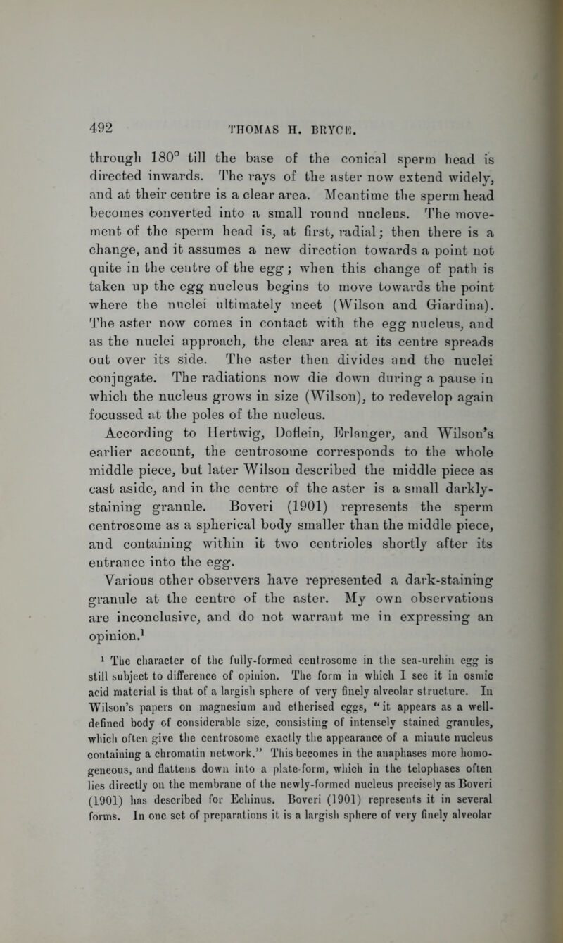 through 180° till the base of the conical sperm head is directed inwards. The rays of the aster now extend widely, and at their centre is a clear area. Meantime the sperm head becomes converted into a small round nucleus. The move- ment of the sperm head is, at first, radial; then there is a change, and it assumes a new direction towards a point not quite in the centre of the egg; when this change of path is taken up the egg nucleus begins to move towards the point where the nuclei ultimately meet (Wilson and Griardina). The aster now comes in contact with the egg nucleus, and as the nuclei approach, the clear area at its centre spreads out over its side. The aster then divides and the nuclei conjugate. The radiations now die down during a pause in which the nucleus grows in size (Wilson), to redevelop again focussed at the poles of the nucleus. According to Hertwig, Doflein, Erlanger, and Wilson’s earlier account, the centrosome corresponds to the whole middle piece, but later Wilson described the middle piece as cast aside, and in the centre of the aster is a small darkly- staining granule. Boveri (1901) represents the sperm centrosome as a spherical body smaller than the middle piece, and containing within it two centrioles shortly after its entrance into the egg. Various other observers have represented a dark-staining granule at the centre of the aster. My own observations are inconclusive, and do not warrant me in expressing an opinion.1 1 Tbe character of the fully-formed centrosome in the sea-urchin egg is still subject to difference of opinion. The form in which I see it in osmic acid material is that of a largish sphere of very finely alveolar structure. In Wilson’s papers on magnesium and elherised eggs, “it appears as a well- defined body of considerable size, consisting of intensely stained granules, which often give the centrosome exactly the appearance of a minute nucleus containing a chromatin network.” This becomes in the anaphases more homo- geneous, and flattens down into a plate-form, which in the telophases often lies directly on the membrane of the newly-formed nucleus precisely as Boveri (1901) has described for Echinus. Boveri (1901) represents it in several forms. In one set of preparations it is a largish sphere of very finely alveolar