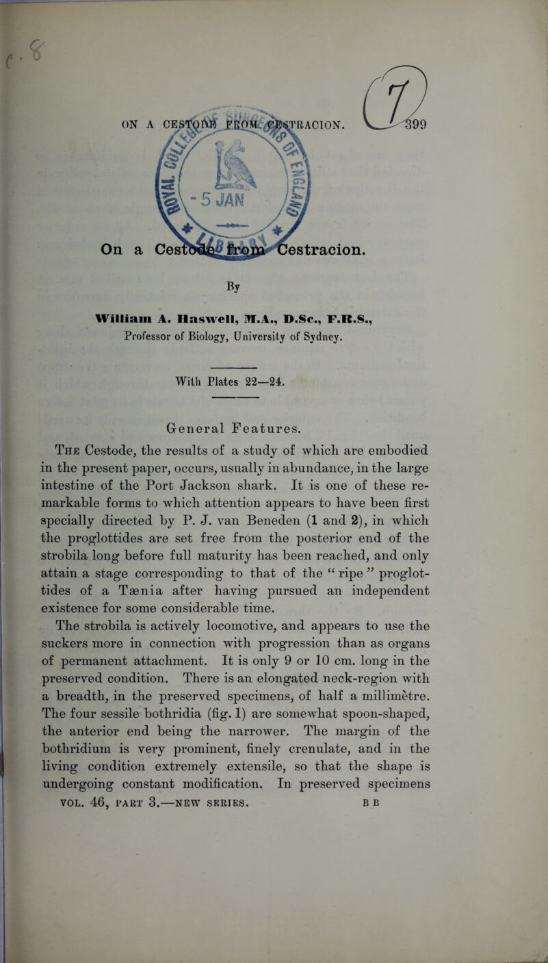 ON ft. On a By William A. Haswell, M.A., D.Sc., F.R.S., Professor of Biology, University of Sydney. With Plates 22—24. General Features. The Cestode, the results of a study of which are embodied in the present paper, occurs, usually in abundance, in the large intestine of the Port Jackson shark. It is one of these re- markable forms to which attention appears to have been first specially directed by P. J. van Beneden (1 and 2), in which the proglottides are set free from the posterior end of the strobila long before full maturity has been reached, and only attain a stage corresponding to that of the ‘‘ ripe proglot- tides of a Taenia after having pursued an independent existence for some considerable time. The strobila is actively locomotive, and appears to use the suckers more in connection with progression than as organs of permanent attachment. It is only 9 or 10 cm. long in the preserved condition. There is an elongated neck-region with a breadth, in the preserved specimens, of half a millimetre. The four sessile bothridia (fig. 1) are somewhat spoon-shaped, the anterior end being the narrower. The margin of the bothridium is very prominent, finely crenulate, and in the living condition extremely extensile, so that the shape is undergoing constant modification. In preserved specimens VOL. 46, PART 3.—NEW SERIES. B B