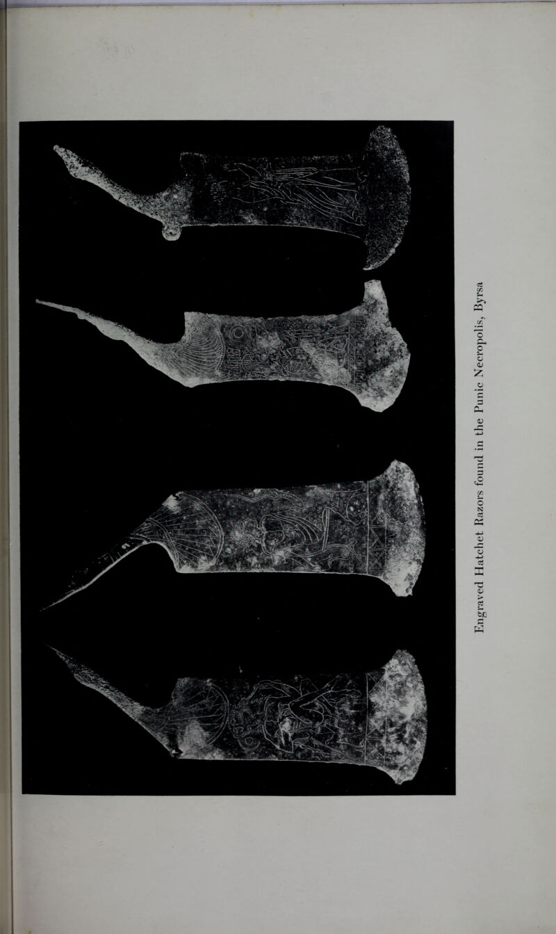 Engraved Hatchet Razors found in the Punic Necropolis, Byrsa