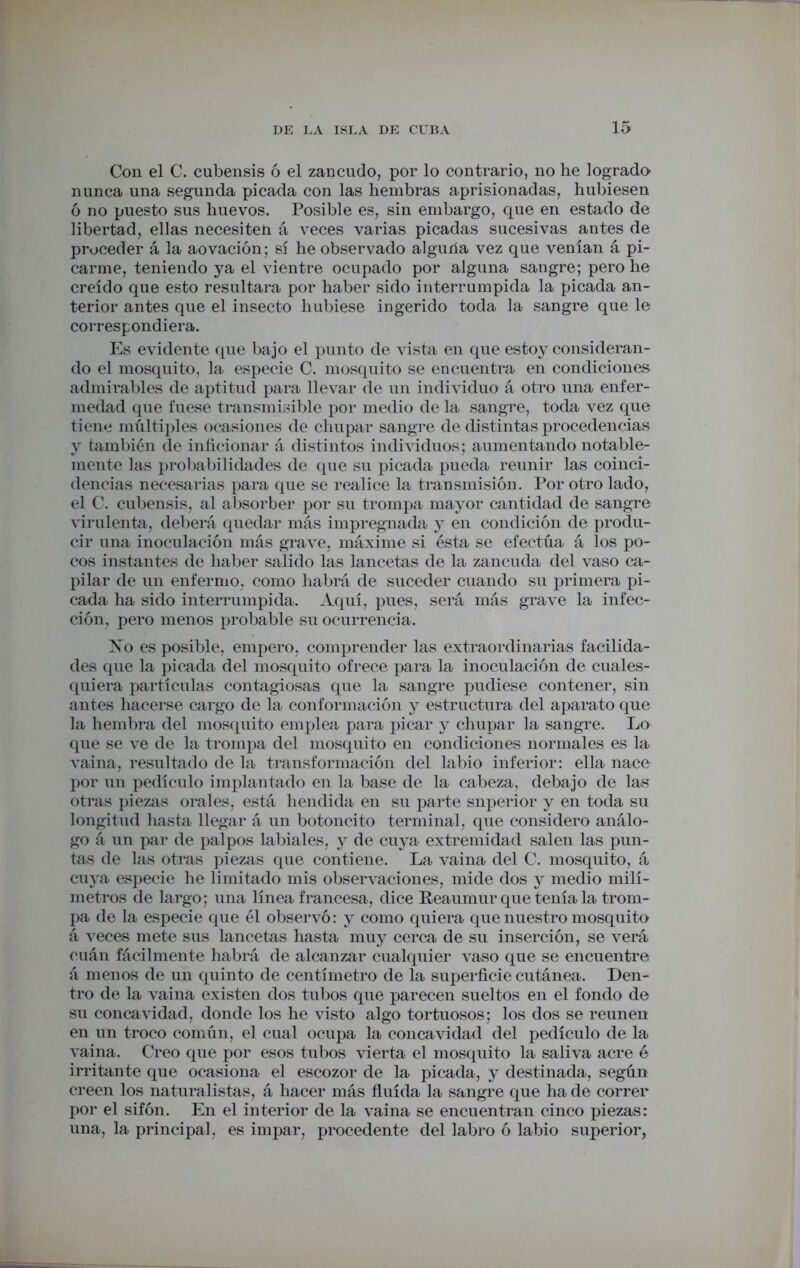 Con el C. cubensis ó el zancudo, por lo contrario, no he logrado nunca una segunda picada con las hembras aprisionadas, hubiesen ó no puesto sus huevos. Posible es, sin embargo, que en estado de libertad, ellas necesiten á veces varias picadas sucesivas antes de proceder á la aovación; sí he observado alguna vez que venían á pi- carme, teniendo ya el vientre ocupado por alguna sangre; pero he creído que esto resultara por haber sido interrumpida la picada an- terior antes que el insecto hubiese ingerido toda la sangre que le correspondiera. Es evidente que bajo el punto de vista en que estoy consideran- do el mosquito, la especie C. mosquito se encuentra en condiciones admirables de aptitud para llevar de un individuo á otro una enfer- medad que fuese transmisible por medio de la sangre, toda vez que tiene múltiples ocasiones de chupar sangre de distintas procedencias y también de inficionar á distintos individuos; aumentando notable- mente las probabilidades de que su picada pueda reunir las coinci- dencias necesarias para que se realice la transmisión. Por otro lado, el C. cubensis, al absorber por su trompa mayor cantidad de sangre virulenta, deberá quedar más impregnada y en condición de produ- cir una inoculación más grave, máxime si ésta se efectúa á los po- cos instantes de haber salido las lancetas de la zancuda del vaso ca- pilar de un enfermo, como habrá de suceder cuando su primera pi- cada ha sido interrumpida. Aquí, pues, será más grave la infec- ción, pero menos probable su ocurrencia. No es posible, empero, comprender las extraordinarias facilida- des que la picada del mosquito ofrece para la inoculación de cuales- quiera partículas contagiosas que la sangre pudiese contener, sin antes hacerse cargo de la conformación y estructura del aparato que la hembra del mosquito emplea para picar y chupar la sangre. Lo que se ve de la trompa del mosquito en condiciones normales es la vaina, resultado de la transformación del labio inferior: ella nace por un pedículo implantado en la base de la cabeza, debajo de las otras piezas orales, está hendida en su parte superior y en toda su longitud hasta llegar á un botoncito terminal, que considero análo- go á un par de palpos labiales, y de cuya extremidad salen las pun- tas de las otras piezas que contiene. La vaina del C. mosquito, á cuya especie he limitado mis observaciones, mide dos y medio milí- metros de largo; una línea francesa, dice Reaumur que tenía la trom- pa de la especie que él observó: y como quiera que nuestro mosquito á veces mete sus lancetas hasta muy cerca de su inserción, se verá cuán fácilmente habrá de alcanzar cualquier vaso que se encuentre á menos de un quinto de centímetro de la superficie cutánea. Den- tro de la vaina existen dos tubos que parecen sueltos en el fondo de su concavidad, donde los he visto algo tortuosos; los dos se reúnen en un troco común, el cual ocupa la concavidad del pedículo de la vaina. Creo que por esos tubos vierta el mosquito la saliva acre é irritante que ocasiona el escozor de la picada, y destinada, según creen los naturalistas, á hacer más fluida la sangre que ha de correr por el sifón. En el interior de la vaina se encuentran cinco piezas: una, la principal, es impar, procedente del labro ó labio superior,