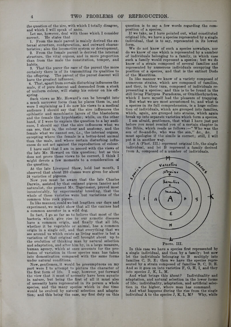 the question of tlie sire, with which I totally disagree, and which I will speak of anon. Let me, however, deal with those which I consider correct. He states that 1. From the male parent is mainly derived the ex- ternal structure, configuration, and outward charac- teristics; also the locomotive system or development. 2. From the female parent is derived the internal structure, the vital organs, and in more proportion than from the male the constitution, temper, and habits. 3. That the purer the race of the parent the more certainty there is of its transmitting its qualities to the offspring. The parent of the purest descent will i have the greatest influence. ! 4. That, -apart from certain disturbing influences the ! male, if of pure descent and descended from a stock , of uniform colour, will stamp his colour on his off- spring. ! Such views as Mr. Howard's can be brought into* j a much narrower focus than he places them in, and | were I explaining as I do now his views to a medical audience I should say that the sire influences the epiblastic and mesoblastic layers of the blastoderm and the female the hypoblastic; while, on the other hand, if I were to explain the question to a lay audi- ence, I should say that the sire influences what we can see, that is, the colour and anatomy, and the female what we cannot see, i.e., the internal organs, excepting where the female is a better-bred animal than the male, and where certain disturbing, influ- ences do not act against the reproduction of colour. I have said that I am in accord with the views of the late Mr. Howard on this question; but as this does not prove these views to be correct, I think I might devote a few moments to a consideration of the question. At the late Liverpool Show, held last month, I observed that about 210 classes were given for about 24 varieties of pigeons. Now you must be aware that the late Charles Darwin, assisted by that eminent pigeon fancier and naturalist, the present Mr. Tegetmeier, proved most incontesitably, by experimental breeding, that the whole of these varieties were but variations of the common blue rock pigeon. In like manner, could we but lengthen our days and experiment, we might show that all the canines had a common ancestor in a wild dog. In fact, I go so far as to believe that most of the bacteria which give rise to our zymotic diseases have a common origin, and finally that all life, whether it be vegetable or animal, has a common origin in a single cell, and that everything that we see around us which exists as living matter is but a variation of that original cell brought about up to the evolution of thinking man by natural selection and adaptation, and after him by, in a large measure, human agency, which at once accounts for the pro- fusion of variation in those species man has taken into domestication compared with the same forms under natural conditions. Now, gentlemen, it would be presumptuous on my part were I to attempt to picture the character of the first form of life. I may, however, put forward the view that it must of necessity have been aquatic in nature, but being the first of all it must also of necessity have represented in its person a whole species, and the many species which in due time would be evolved by natural selection and adapta- tion; and this being the case, my first duty on this question is to say a few words regarding the com- position of a species. If we take, as I have pointed out, what constituted original life, we have a species represented by a single individual, that is to say, represented in its lowest form. We do not know of such a species nowadays, nor do we know of one which is represented by a number of individuals belonging to a family, in which case such a family would represent a species; but we do know of a s-train composed of several families and represented by numerous individuals occupying the position of a species, and that is the extinct Dodo of the Mauritius. In like manner we know of a variety composed of numerous strains, which are composed of families, and they, in their turn, composed of individuals re- presenting a species; and this is to be found in the still living Platypus Paradoxus, or Ornitherhynchus, which I have myself had the pleasure of trapping. But what we are most accustomed to, and what is a species in its full comprehension, is a huge collec- tion of individuals, which are grouped into families, which, again, are grouped into strains, which again break up into separate varieties which form a species. I am afraid, gentlemen, that what I have just put before you must remind you of a certain chapter in the Bible, which reads as follows:—Who was the son of So-and-So, who was the son,’' &c., &c. I must apologise if the simile is correct; still, I will put it in another way. Let A (Phot. III.) represent original life, the single individual, and let B represent a family derived from A, composed of a number of individuals. Photo. III. In this case we have a species first represented by a single individual, and then by a family; but now let the individuals belonging to B multiply into families C, D, E; then we have the species repre- sented by a strain composed of families B, C, D, E. And so it goes on into varieties F, G, H, I, and they into species J, K, L, M. And what brings this about? Individuality and adaptation, and natural selection in the lower forms of life; individuality, adaptation, and artificial selec- tion in the higher, where man has command. And what happens during the rise from the single individual A to the species J, K, L, M ? Why, while