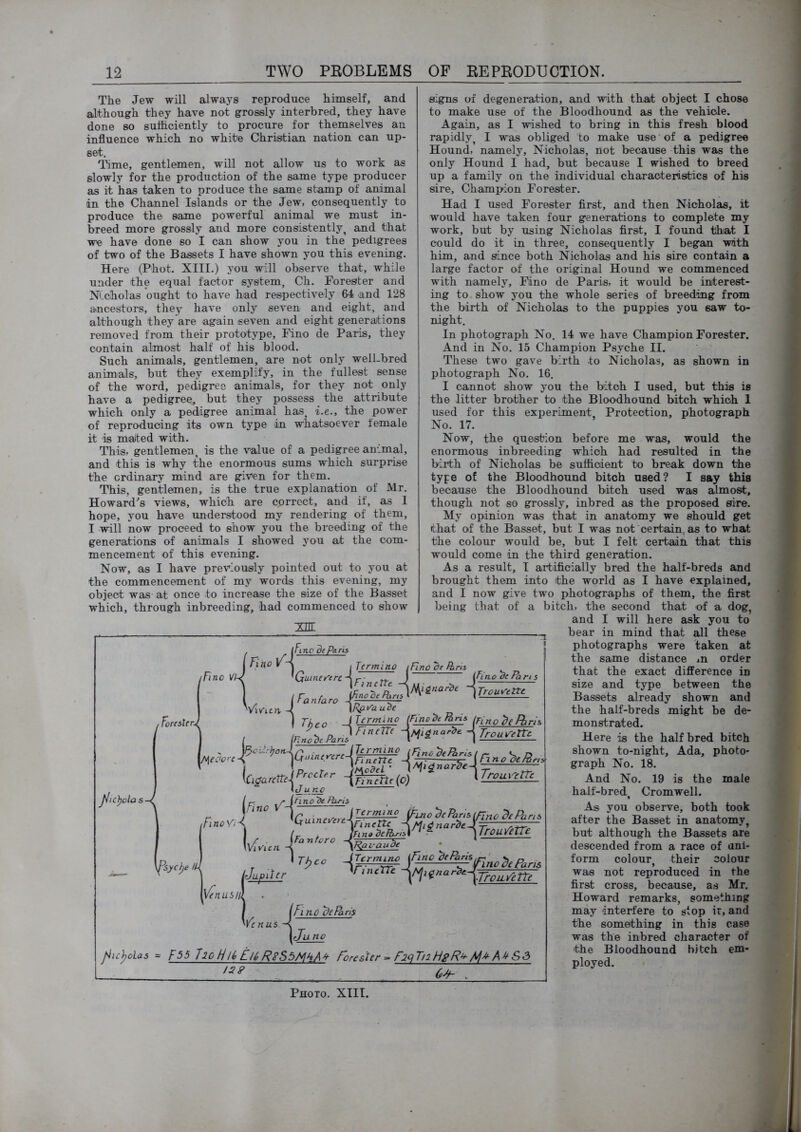 The Jew will always reproduce himself, and although they have not grossly interbred, they have done so sufficiently to procure for themselves an influence which no white Christian nation can up- set. T'ime, gentlemen, will not allow us to work as slowly for the production of the same type producer as it has taken to produce the same stamp of animal in the Channel Islands or the Jew, consequently to produce the same powerful animal we must in- breed more grossly and more consistently, and that we have done so I can show you in the pedigrees of two of the Bassets I have shown you this evening. Here (Phot. XIII.) you will observe that, while under the equal factor system, Ch. Forester and Nicholas ought to have had respectively 64 and 128 ancestors, they have only seven and eight, and although they'are again seven and eight generations removed from their prototype, Fino de Paris, they contain almost half of his blood. Such animals, gentlemen, are not only well-bred animals, but they exemplify, in the fullest sense of the word, pedigree animals, for they not only have a pedigree, but they possess the attribute which only a pedigree animal has i.e., the power of reproducing its own type in whatsoever female it is malted with. This, gentlemen, is the value of a pedigree animal, and this is why the enormous sums which surprise the ordinary mind are given for them. This, gentlemen, is the true explanation of Mr. Howard^s views, which are correct, and if, as I hope, you have understood my rendering of them, I will now proceed to show you the breeding of the generations of animals I showed you at the com- mencement of this evening. Now, as I have previously pointed out to you at the commencement of my words this evening, my object was at once to increase the size of the Basset which, through inbreeding, had commenced to show signs of degeneration, and with that object I chose to make use of the Bloodhound as the vehicle. Again, as I wished to bring in this fresh blood rapidly, I was obliged to make use'of a pedigree Hound, namely, Nicholas, not because this was the only Hound I had, but because I wished to breed up a family on the individual characteristics of his sire. Champion Forester. Had I used Forester first, and then Nicholas, it would have taken four generations to complete my work, but by using Nicholas first, I found tbat I could do it in three, consequently I began with him, and since both Nicholas and his sire contain a large factor of the original Hound we commenced with namely, Fino de Paris, it would be interest- ing to show you the whole series of breeding from the birth of Nicholas to the puppies you saw to- night. In photograph No. 14 we have Champion Forester. And in No. 15 Champion Psyche II. These two gave birth to Nicholas, as shown in photograph No. 16. I cannot show you the bitch I used, but this is the litter brother to the Bloodhound bitch which 1 used for this experiment Protection, photograph No. 17. Now, the question before me was, would the enormous inbreeding which had resulted in the birth of Nicholas be sufficient to break down the type of the Bloodhound bitch used? I say this because the Bloodhound bitch used was almost, though not so grossly, inbred as the proposed sire. My opinion was that in anatomy we should get that of the Basset, but I was not certain as to what the colour would be, but I felt certain that this would come in the third generation. As a result, I artificially bred the half-breds and brought them into the world as I have explained, and I now give two photographs of them, the first being that of a bitch, the second that of a dog, and I will here ask you to bear in mind that all these photographs were taken at the same distance in order that the exact difference in size and type between the Bassets already shown and the half-breds might be de- monstrated. Here is the half bred bitch shown to-night, Ada, photo- graph No. 18. And No. 19 is the male half-bred, Cromwell. As you observe, both took after the Basset in anatomy, but although the Bassets are descended from a race of uni- form colour, their colour wa/S not reproduced in the first cross, because, as Mr. Howard remarks, something may interfere to stop ir, and the something in this case was the inbred character of the Bloodhound hitch em- ployed. j Fino I lermino itino de ftni no VlJ 'Gu^ineirercA r- J 1, I fan faro * I Vivrun- \nco pnciiOn. p TTTT iFinc de Paris Termino iHnode /im fino ^eThris TrouVtitc J^ic>)ola s-l J Termino \Finodtmns /rTno^e/ins J FineTle -^/yfi^nar^e frou^rette Urn 'eJte It/u no ^rUino de Paris ,FinoV> } ^ J^^rtnino &uio'deParis(fl^ ’ Be Pa TrouVetTe 'Jupiter T!,co nuhHl yino Be Paris nus \Juno J^u^olas = F55 7l0 H!() EU> RiS5MkA^ Forester = F2q Ti2Hg