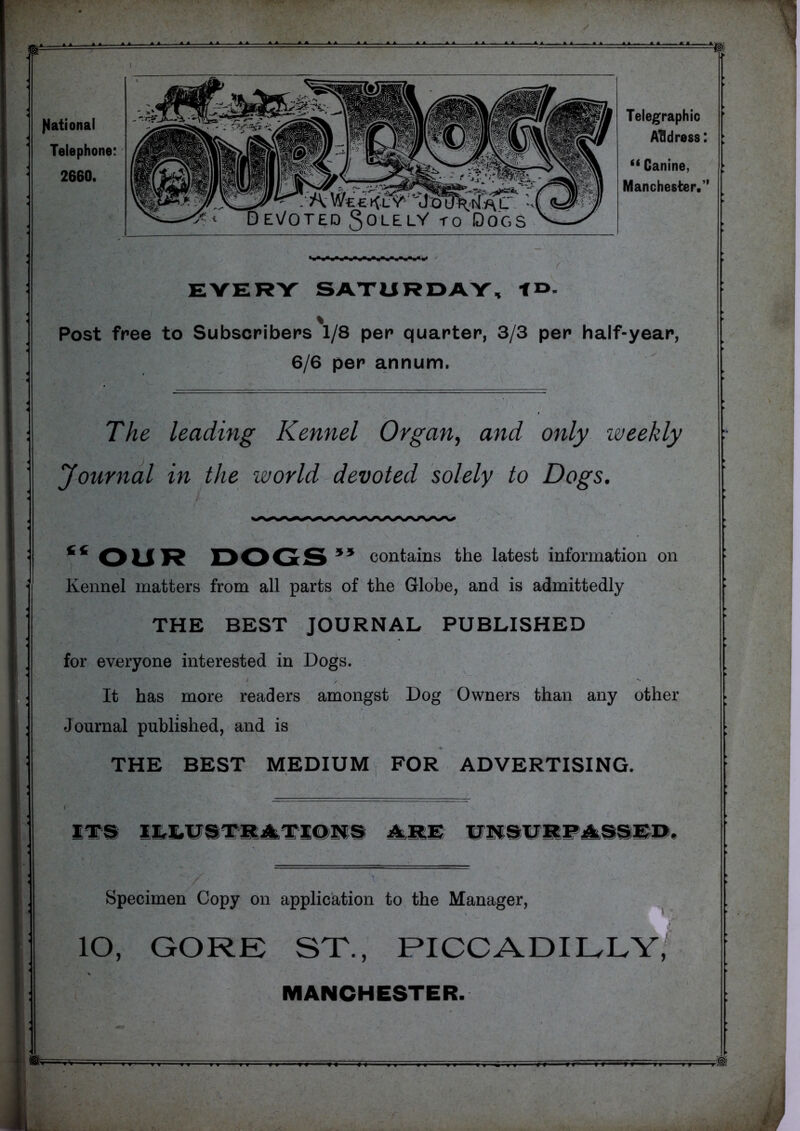 r flational Telephone: 2660. Devoted Solely to'IDo'gs Telegraphic ATIdress: Canine, Manchester,” EVERY SATURDAY, Post free to Subscribers'l/8 per quarter, 3/3 per half-year, 6/6 per annum. The leading Kennel Organ, and only weekly Journal in the world devoted solely to Dogs. “OUR DOGS” contains the latest information on Kennel matters from all parts of the Globe, and is admittedly THE BEST JOURNAL PUBLISHED for everyone interested in Dogs. j X ^ It has more readers amongst Dog 'Owners than any other Journal published, and is THE BEST MEDIUM FOR ADVERTISING. Specimen Copy on application to the Manager, lO, GORE ST., PICCADIELy/ MANCHESTER.