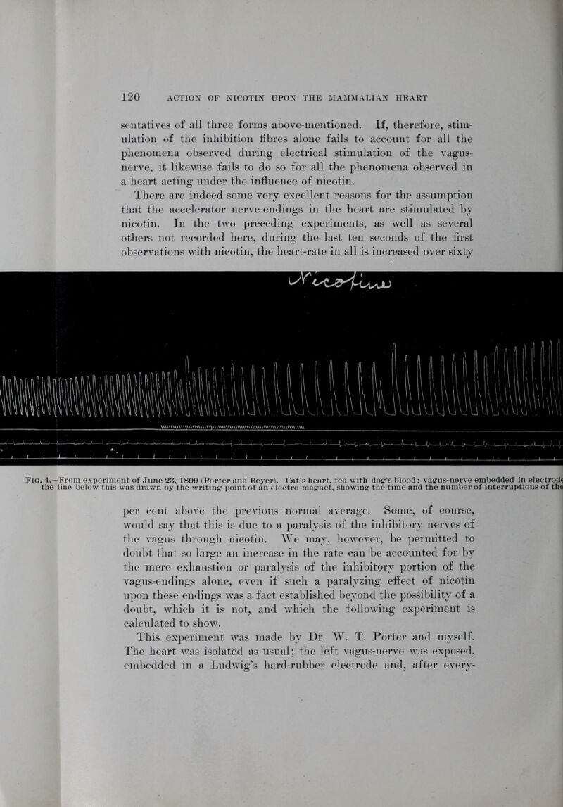 sentatives of all three forms above-mentioned. If, therefore, stim- ulation of the inhibition fibres alone fails to account for all the phenomena observed during electrical stimulation of the vagus- nerve, it likewise fails to do so for all the phenomena observed in a heart acting under the influence of nicotin. There are indeed some very excellent reasons for the assumption that the accelerator nerve-endings in the heart are stimulated by nicotin. In the two preceding experiments, as well as several others not recorded here, during the last ten seconds of the first observations with nicotin, the heart-rate in all is increased over sixty Fig. 4.—From experiment of June 23,1899 (Porter and Beyer). Cat’s heart, fed with dog’s blood; vagus-nerve embedded in electrode the line below this was drawn by the writing-point of an electro-magnet, showing the time and the number of interruptions of the per cent above the previous normal average. Some, of course, would say that this is due to a paralysis of the inhibitory nerves of the vagus through nicotin. We may, however, be permitted to doubt that so large an increase in the rate can be accounted for by the mere exhaustion or paralysis of the inhibitory portion of the vagus-endings alone, even if such a paralyzing effect of nicotin upon these endings was a fact established beyond the possibility of a doubt, which it is not, and which the following experiment is calculated to show. This experiment was made by Dr. W. T. Porter and myself. The heart was isolated as usual; the left vagus-nerve was exposed, embedded in a Ludwig’s hard-rubber electrode and, after every-