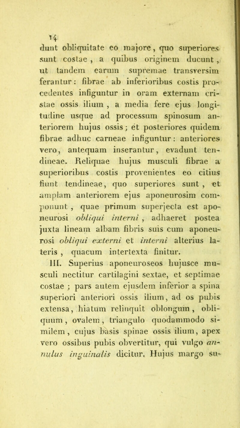 dunt obliquitate eo majore, quo superiores sunt costae , a quibus originem ducunt , ut tandem earum supremae transversim ferantur: fibrae ab inferioribus costis pro- cedentes infiguntur in oram externam cri- stae ossis ilium , a media fere ejus longi- tudine usque ad processum spinosum an- teriorem hujus ossis; et posteriores quidem fibrae adhuc carneae infiguntur: anteriores vero, antequam inserantur, evadunt ten- dineae. Reliquae hujus musculi fibrae a superioribus costis provenientes eo citius fiunt tendineae, quo superiores sunt , et amplam anteriorem ejus aponeurosim com- ponunt , quae primum superjecta est apo- neurosi obliqui interni , adhaeret postea juxta lineam albam fibris suis cum aponeu- rosi obliqui externi et interni alterius la- teris , quacum intertexta finitur. III. Superius aponeuroseos hujusce mu- sculi nectitur cartilagini sextae, et septimae costae ; pars autem ejusdem inferior a spina superiori anteriori ossis ilium, ad os pubis extensa, hiatum relinquit oblongum, obli- quum , ovalem , triangulo quodammodo si- milem, cujus basis spinae ossis ilium, apex vero ossibus pubis obvertitur, qui vulgo an- nulus inguinalis dicitur. Hujus margo su-