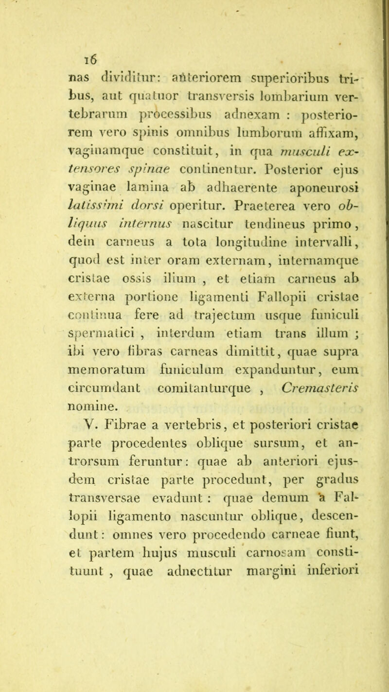 nas dividitur: atUeriorem superioribus tri- bus, aut qua tuor transversis lombarium ver- tebrarum processibus adnexam : posterio- rem vero spinis omnibus lumborum affixam, vaginamque constituit, in qua musculi ex- tensores spinae continentur. Posterior ejus vaginae lamina ab adhaerente aponeurosi latiss'mi dorsi operitur. Praeterea vero ob- liquus internus nascitur tendineus primo, dein carneus a tota longitudine intervalli, quod est inter oram externam, internamque cristae ossis ilium , et etiam carneus ab externa portione ligamenti Fallopii cristae continua fere ad trajectum usque funiculi spermatici , interdum etiam trans illum ; ibi vero libras carneas dimittit, quae supra memoratum funiculum expanduntur, eum circumdant comitanturque , Cremasteris nomine. Y. Fibrae a vertebris, et posteriori cristae parte procedentes oblique sursum, et an- trorsum feruntur: quae ab anteriori ejus- dem cristae parte procedunt, per gradus transversae evadunt : quae demum ‘a Fal- lopii ligamento nascuntur oblique, descen- dunt : omnes vero procedendo carneae fiunt, et partem hujus musculi carnosam consti- tuunt , quae adnectitur margini inferiori