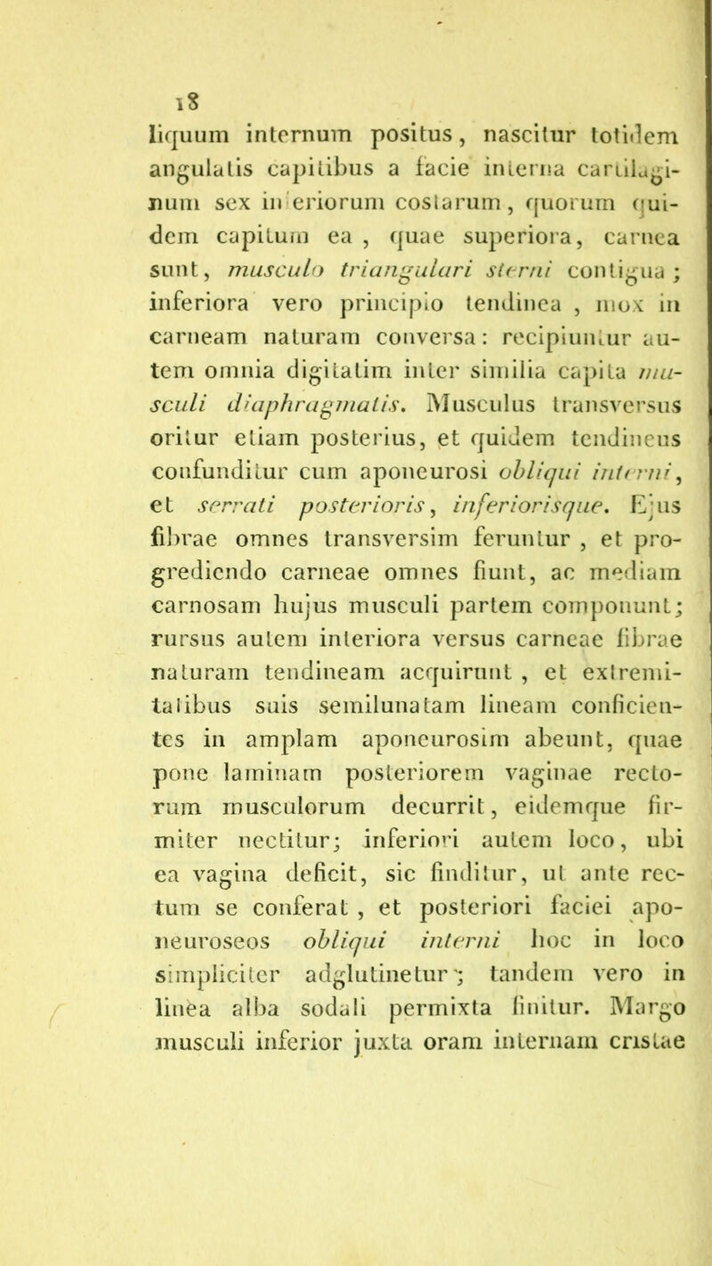 liquum internum positus, nascitur totidem angulatis capitibus a facie interna carlilagi- num sex inferiorum coslarum, quorum (]ui- dem capitum ea , quae superiora, carnea sunt, musculo triangulari sterni contigua; inferiora vero principio tendinea , mox in carneam naturam conversa: recipiuntur au- tem omnia digitatim inter similia capita mu- sculi diaphragmatis. Muscidus transversus oritur etiam posterius, et quidem tendineus confunditur cum aponeurosi obliqui interni, et serrati posterioris, inferior is que. Ejus fibrae omnes transversim feruntur , et pro- grediendo carneae omnes fiunt, ac mediam carnosam hujus musculi partem componunt; rursus autem interiora versus carneae fibrae naturam tendineam acquirunt , et extremi- tatibus suis semilunatam lineam conficien- tes in amplam aponeurosirn abeunt, quae pone laminam posteriorem vaginae recto- rum musculorum decurrit, eidemque fir- miter nectitur; inferiori autem loco, ubi ea vagina deficit, sic finditur, ut ante rec- tum se conferat , et posteriori faciei apo- neuroseos obliqui interni hoc in loco simpliciter adglutinetur \ tandem vero in linfea alba sodali permixta finitur. Margo musculi inferior juxta oram internam cristae