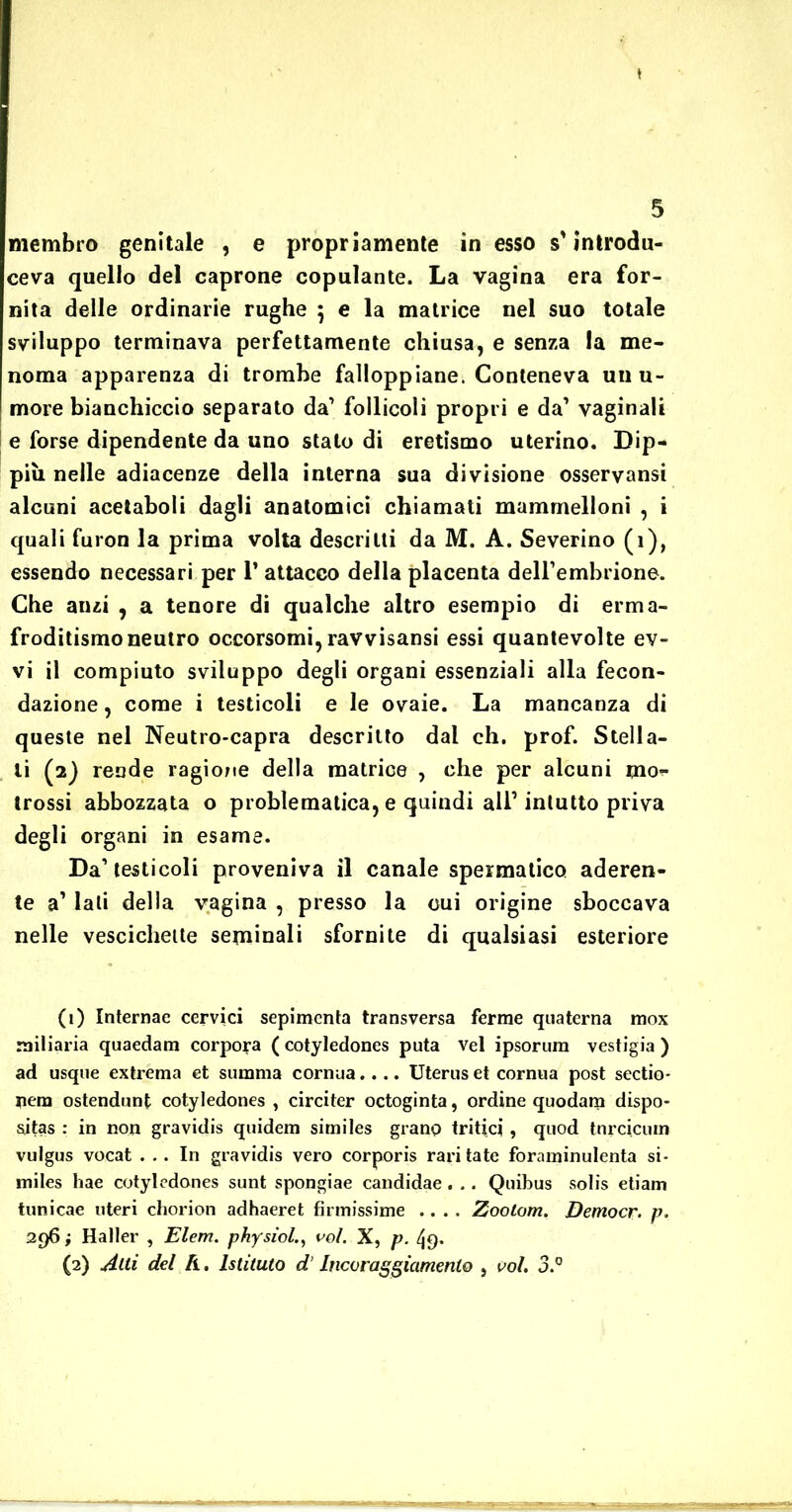 membro genitale , e propriamente in esso s'introdu- ceva quello del caprone copulante. La vagina era for- nita delle ordinarie rughe 5 e la matrice nel suo totale sviluppo terminava perfettamente chiusa, e senza la me- noma apparenza di trombe falloppiane. Conteneva un u- more bianchiccio separato da1 2 follicoli propri e da1 vaginali e forse dipendente da uno stalo di eretismo uterino. Dip- più nelle adiacenze della interna sua divisione osservansi alcuni acetaboli dagli anatomici chiamati mammelloni , i quali furon la prima volta descritti da M. A. Severino (1), essendo necessari per 1* attacco della placenta dell’embrione. Che anzi , a tenore di qualche altro esempio di erma- froditismoneutro occorsomi, ravvisansi essi quantevolte ev- vi il compiuto sviluppo degli organi essenziali alla fecon- dazione , come i testicoli e le ovaie. La mancanza di queste nel Neutro-capra descritto dal eh. prof. Stella- li (2) rende ragione della matrice , che per alcuni mor* trossi abbozzata o problematica, e quindi all’intutto priva degli organi in esame. Da’ testicoli proveniva il canale spermatico aderen- te a’ lati della vagina , presso la cui origine sboccava nelle vescichette seminali sfornite di qualsiasi esteriore (1) Internae cervici sepimenta transversa ferme quaterna mox miliaria quaedam corpora ( cotyledones puta vel ipsorum vestigia ) ad usque extrema et summa cornua.... Uterus et cornua post sectio* nera ostendunt cotyledones , circiter octoginta, ordine quodam dispo- sitas : in non gravidis quidem similes grano tritici, quod tnrcicurn vulgus vocat ... In gravidis vero corporis rari tate foraminulenta si- miles hae cotyledones sunt spongiae candidae. .. Quibus solis etiam tunicae uteri chorion adhaeret firmissime .... Zoolom. Democr• p. 296 ; Haller , Elem. physiolvoi. X, p. (2) Alti del A. Istituto d'Incoraggiamento , voi. 3.°