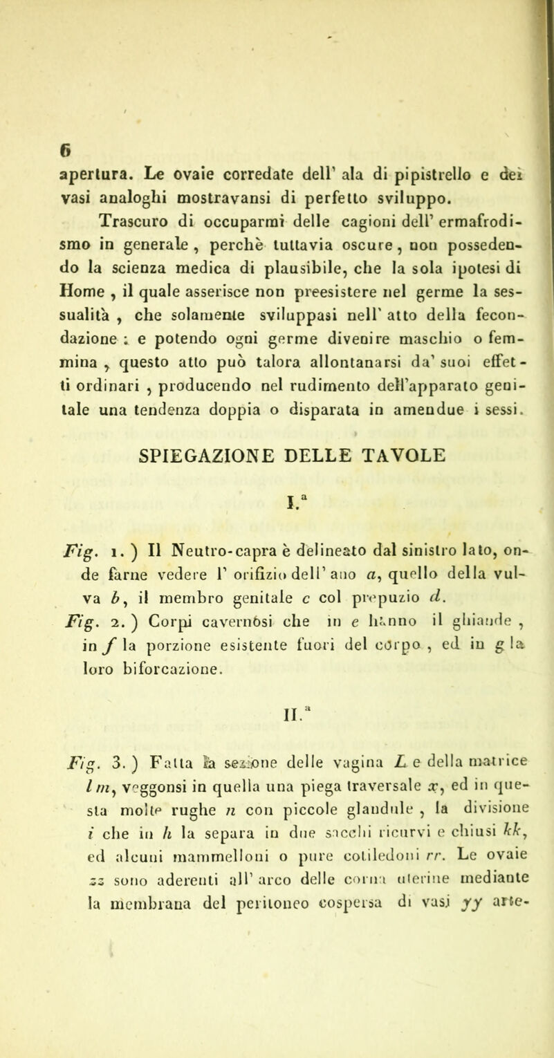 apertura. Le ovaie corredate dell’ ala di pipistrello e dei vasi analoghi mostravansi di perfetto sviluppo. Trascuro di occuparmi delle cagioni dell’ ermafrodi- smo in generale , perchè tuttavia oscure, non posseden- do la scienza medica di plausibile, che la sola ipotesi di Home , il quale asserisce non preesistere nel germe la ses- sualità , che solamente sviluppasi nell' atto della fecon- dazione : e potendo ogni germe divenire maschio o fem- mina , questo atto può talora allontanarsi da’suoi effet- ti ordinari , producendo nel rudimento dell’apparato geni- tale una tendenza doppia o disparata in ameudue i sessi. I SPIEGAZIONE DELLE TAVOLE I.a Fig. i. ) Il Neutro-capra è delineato dal sinistro lato, on- de farne vedere P orifìzio dell’ano a, quello della vul- va by il membro genitale c col prepuzio d. Fig. 2. ) Corpi cavernósi che in e lii.nno il ghiande , in f la porzione esistente fuori del còrpo , ed iu g la loro biforcazione. 11.“ Fig. 3.) Falla la sezióne delle vagina L e della matrice lmì veggonsi in quella una piega traversale rr, ed in que- sta molte rughe n con piccole glandule , la divisione i che in h la separa iu due socchi ricurvi e chiusi ed alcuni mammelloni o pure cotiledoni rr. Le ovaie zz sono aderenti all’ arco delle corna uterine mediaute la membrana del peritoneo cospersa di vasi yy arte-
