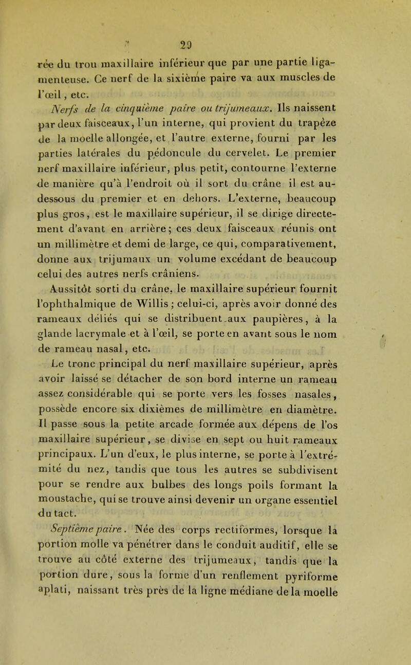 rée du trou maxillaire inférieur que par une partie liga- menteuse. Ce nerf de la sixième paire va aux muscles de l’œil, etc. Nerfs de la cinquième paire ou trijumeaux. Ils naissent par deux faisceaux, l’un interne, qui provient du trapèze Je la moelle allongée, et l’autre externe, fourni par les parties latérales du pédoncule du cervelet. Le premier nerf maxillaire inférieur, plus petit, contourne l’externe de manière qu’à l’endroit où il sort du crâne il est au- dessous du premier et en dehors. L’externe, beaucoup plus gros, est le maxillaire supérieur, il se dirige directe- ment d’avant en arrière; ces deux faisceaux réunis ont un millimètre et demi de large, ce qui, comparativement, donne aux trijumaux un volume excédant de beaucoup celui des autres nerfs crâniens. Aussitôt sorti du crâne, le maxillaire supérieur fournit l’ophthalmique de Willis ; celui-ci, après avoir donné des rauieaux déliés qui se distribuent,aux paupières, à la glande lacrymale et à l’œil, se porte en avant sous le nom de rameau nasal, etc. Le tronc principal du nerf maxillaire supérieur, après avoir laissé se détacher de son bord interne un rameau assez considérable qui se porte vers les fosses nasales, possède encore six dixièmes de millimètre en diamètre. Il passe sous la petite arcade formée aux dépens de l’os maxillaire supérieur, se divise en sept ou huit rameaux principaux. L’un d’eux, le plus interne, se porte à l'extré- mité du nez, tandis que tous les autres se subdivisent pour se rendre aux bulbes des longs poils formant la moustache, qui se trouve ainsi devenir un organe essentiel du tact. Septième paire. Née des corps rectiformes, lorsque la portion molle va pénétrer dans le conduit auditif, elle se trouve au côté externe des trijumeaux, tandis que la portion dure, sous la forme d’un renflement pyriforme aplati, naissant très près de la ligne médiane delà moelle