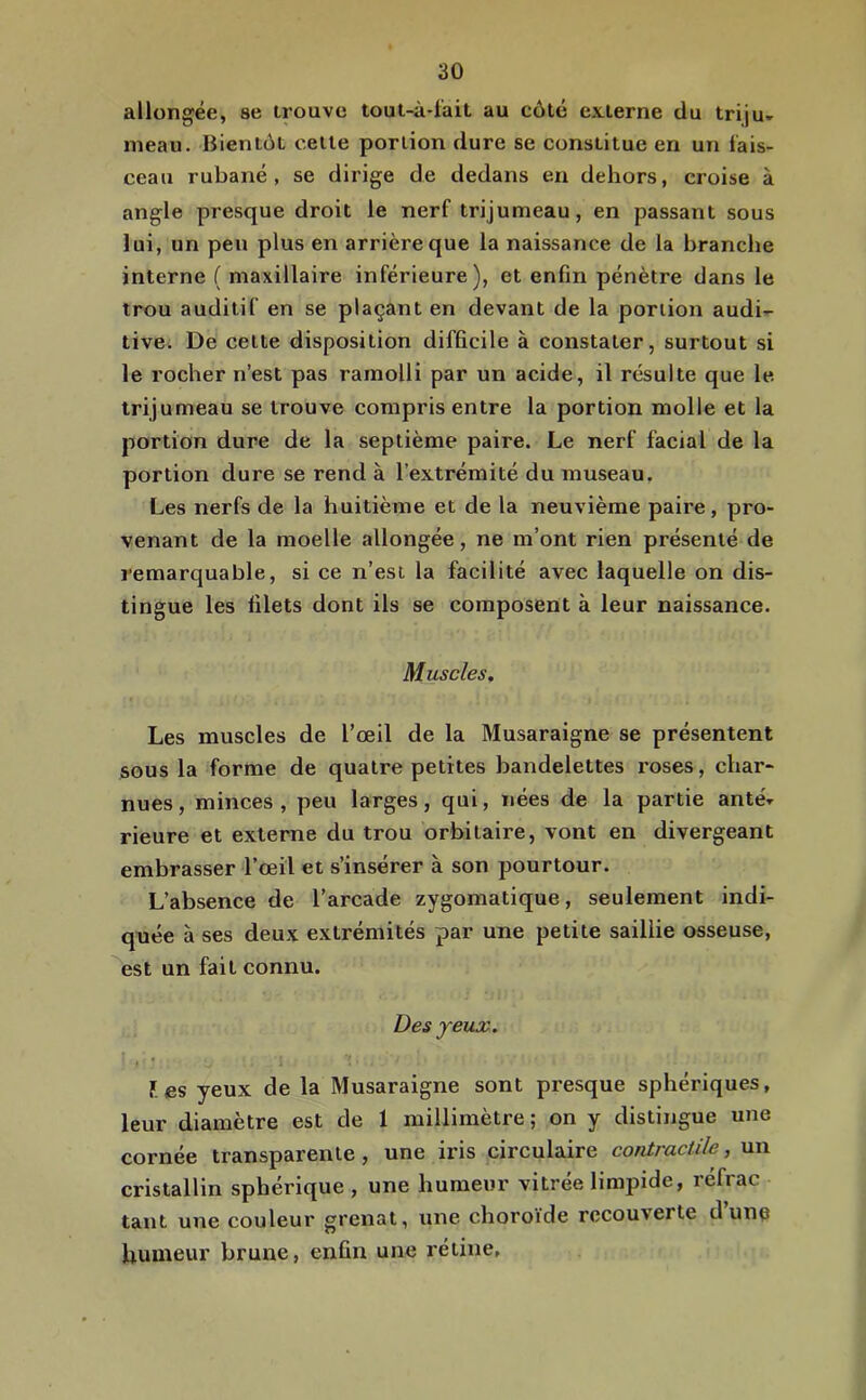 allongée, se trouve toui-à-l'ait au côté exierne du triju- meau. Bientôt cette portion dure se constitue en un fais- ceau rubané, se dirige de dedans en dehors, croise à angle presque droit le nerf trijumeau, en passant sous lui, un peu plus en arrière que la naissance de la branche interne ( maxillaire inférieure), et enfin pénètre dans le trou auditif en se plaçant en devant de la portion audi- tive. De celte disposition difficile à constater, surtout si le rocher n’est pas ramolli par un acide, il résulte que le. trijumeau se trouve compris entre la portion molle et la portion dure de la septième paire. Le nerf facial de la portion dure se rend à l’extrémité du museau. Les nerfs de la huitième et de la neuvième paire, pro- venant de la moelle allongée, ne m’ont rien présenté de remarquable, si ce n’est la facilité avec laquelle on dis- tingue les filets dont ils se composent à leur naissance. Muscles. Les muscles de l’œil de la Musaraigne se présentent sous la forme de quatre petites bandelettes roses, char- nues , minces , peu larges, qui, nées de la partie anté- rieure et externe du trou orbitaire, vont en divergeant embrasser l’œil et s’insérer à son pourtour. L’absence de l’arcade zygomatique, seulement indi- quée à ses deux extrémités par une petite saillie osseuse, ^est un fait connu. Des yeux. » * F. es yeux de la Musaraigne sont presque sphériques, leur diamètre est de 1 millimètre ; on y distingue une cornée transparente , une iris circulaire contractile, un cristallin sphérique , une humeur vitrée limpide, réfrac tant une couleur grenat, une choroïde recouverte d’une humeur brune, enfin une rétine,