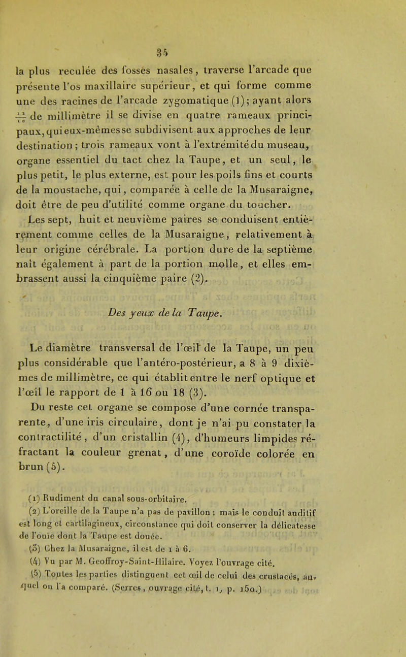 3'i la plus reculée des l’ossès nasales, traverse l’arcade que présente l'os maxillaire supérieur, et qui forme comme une des racines de l’arcade zygomatique (l) ; ayant alors de millimètre il se divise en quatre rameaux princi- paux, qui eux-mémesse subdivisent aux approches de leur destination; trois rameaux vont à l’extrémitédu museau, organe essentiel du tact chez la Taupe, et un seul, le plus petit, le plus externe, est pour les poils fins et courts de la moustache, qui, comparée à celle de la Musaraigne, doit être de peu d’utilité comme organe du toucher. Les sept, huit et neuvième paires se conduisent entiè- rement comme celles de la Musaraigne, relativement à leur origine cérébrale. La portion dure de la septième naît également à part de la portion molle, et elles em- brassent aussi la cinquième paire (2). ✓ Des yeux delà Taupe. Le diamètre transversal de l’œil de la Taupe, un peu plus considérable que l’antéro-postérieur, a 8 à 9 dixiè- mes de millimètre, ce qui établit entre le nerf optique et l’œil le rapport de 1 à 16 ou 18 (3). Du reste cet organe se compose d’une cornée transpa- rente, d’une iris circulaire, dont je n’ai pu constater la contractilité, d’un cristallin (4), d’humeurs limpides ré- fractant la couleur grenat, d’une coroïde colorée en brun (5). (1) Rudiment du canal sous-orbitaire. (2) L oreille de la l'aupe n’a pas de pavillon ; mais le conduit auditif est long cl cartilagineux, eirconslance qui doit conserver la délieatesse de l’ouïe dont la Taupe est douée. (5) Chez la Musaraigne, il est de 1 à 6. 14) Vu par M. Geoffroy-Saint-Ililairc. Voyez l’ouvrage cité, 15) Toutes les parties distinguent ecl œil de celui des crustacés, au, quel ou la comparé. (Serres, ouvrage cité,!. 1, p. i5o.)