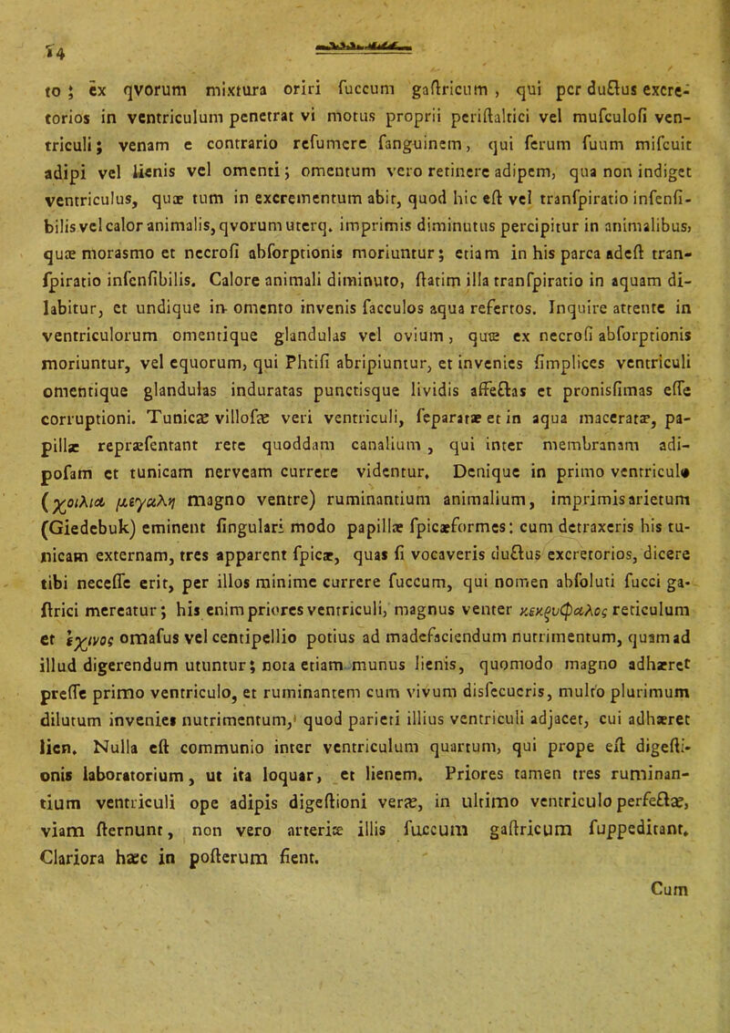 to ; ex qvorum mixtura oriri fuccum gaftricum , qui per duflus excre- torios in ventriculum penetrat vi motus proprii periftaltici vel mufculofi ven- triculi ; venam e contrario refumere fanguinem, qui ferum fuum mifcuit adipi vel lienis vel omenti; omentum vero retinere adipem, qua non indiget ventriculus, quae tum in excrementum abit, quod hic efl vel tranfpiratio infenfi- bilis vel calor animalis, qvorum urerq. imprimis diminutus percipitur in animalibus» quae morasmo et nccrofi abforptionis moriuntur; etiam in his parca adeft tran- fpiratio infenfibilis. Calore animali diminuto, ftatim illa tranfpiratio in aquam di- labitur, et undique ia omento invenis facculos aqua refertos. Inquire attente in ventriculorum omentique glandulas vel ovium, quae ex necrofi abforptionis moriuntur, vel equorum, qui Phtifi abripiuntur, et invenies fimpliccs ventriculi omentique glandulas induratas punctisque lividis affefhs et pronisfimas elTe corruptioni. Tunica; villofa; veri ventriculi, fepararae et in aqua maceratae, pa- pillse repraefentant rete quoddam canalium , qui inter membranam adi- pofam et tunicam nerveam currere videntur. Denique in primo ventriculi» {^oiXict [xiyu\*i magno ventre) ruminantium animalium, imprimis arietum (Giedebuk) eminent lingulari modo papillae fpicaeformes: cum detraxeris his tu- nicam externam, tres apparent fpicte, quas fi vocaveris duftus excretorios, dicere tibi necefle erit, per illos minime currere fuccum, qui nomen abfoluti fucci ga- ftrici mereatur; his enim priores ventriculi, magnus venter Ksy^vCpccXog reticulum et g%im omafus vel centipellio potius ad madefaciendum nutrimentum, quam ad illud digerendum utuntur; nota etiam munus lienis, quomodo magno adharret prefie primo ventriculo, et ruminantem cum vivum dislecucris, multo plurimum dilutum invenies nutrimentum,' quod parieti illius ventriculi adjacet, cui adhaeret lien. Nulla eft communio inter ventriculum quartum, qui prope eft digefti- onis laboratorium, ut ita loquar, et lienem. Priores tamen tres ruminan- tium ventriculi ope adipis digeftioni vera;, in ultimo ventriculo perfefta;, viam fternunt, non vero arteriae illis fuccum gaftricum fuppeditanr. Clariora ha:c in pofterum fient. Cum