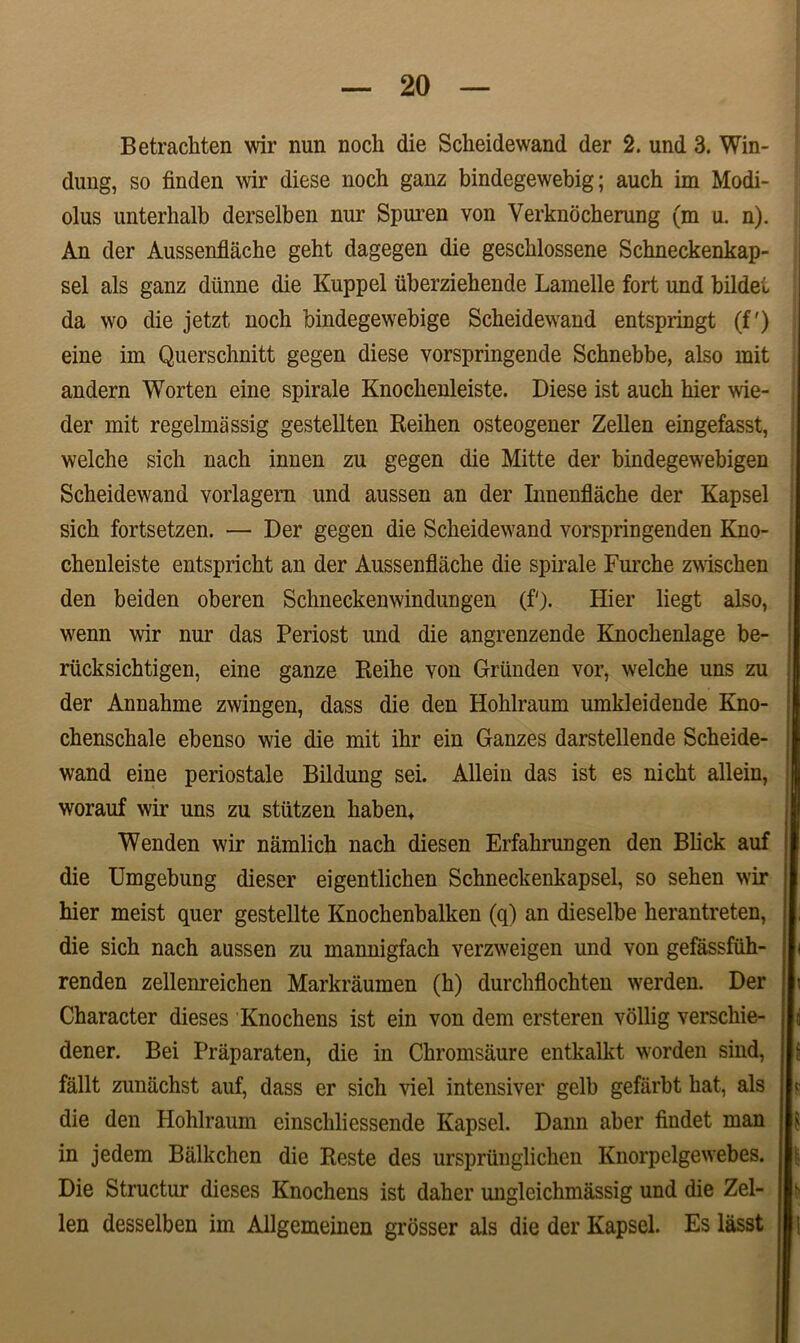 Betrachten wir nun nocli die Scheidewand der 2. und 3. Win- dung, so finden wir diese noch ganz bindegewebig; auch im Modi- olus unterhalb derselben nur Spuren von Verkiiocherung (m u. n). An der Aussenflache geht dagegen die gescblossene Schneckenkap- sel ais ganz diinne die Kuppel tiberziebende Lamelle fort und bildei da wo die jetzt noch bindegewebige Scheidewand entspringt (f') eine im Querschnitt gegen diese vorspringende Schnebbe, also mit andern Worten eine spirale Knochenleiste. Diese ist auch hier wie- der mit regelmassig gestellten Reihen osteogener Zellen eingefasst, welche sich nach innen zu gegen die Mitte der bindegewebigen Scheidewand vorlagern und aussen an der Innenflache der Kapsel sich fortsetzen. — Der gegen die Scheidewand vorspringenden Kno- chenleiste entspricht an der Aussenflache die spirale Furche zwischen den beiden oberen Schneckenwindungen (f'). Hier liegt also, wenn wir nur das Periost und die angrenzende Knochenlage be- riicksichtigen, eine ganze Reihe von Griinden vor, welche uns zu der Annahme zwingen, dass die den Hohlraum umkleidende Kno- chenschale ebenso wie die mit ihr ein Ganzes darstellende Scheide- wand eine periostale Bildung sei. Allein das ist es nicht allein, worauf wir uns zu stiitzen haben, Wenden wir namlich nach diesen Erfahrungen den Blick auf die Umgebung dieser eigentlichen Schneckenkapsel, so sehen wir hier meist quer gestellte Knochenbalken (q) an dieselbe herantreten, die sich nach aussen zu mannigfach verzweigen und von gefassfuh- renden zellenreichen Markraumen (h) durchflochten werden. Der Character dieses Knochens ist ein von dem ersteren vollig verschie- dener. Bei Praparaten, die in Chromsaure entkalkt worden sind, fallt zuniichst auf, dass er sich viel intensiver gelb gefarbt hat, ais die den Hohlraum einscliliessende Kapsel. Dann aber findet man in jedem Balkchen die Reste des urspriinglichen Knorpelgewebes. Die Struetur dieses Knochens ist daher ungleichmassig und die Zel- len desselben im Allgemeinen grosser ais die der Kapsel. Es lasst