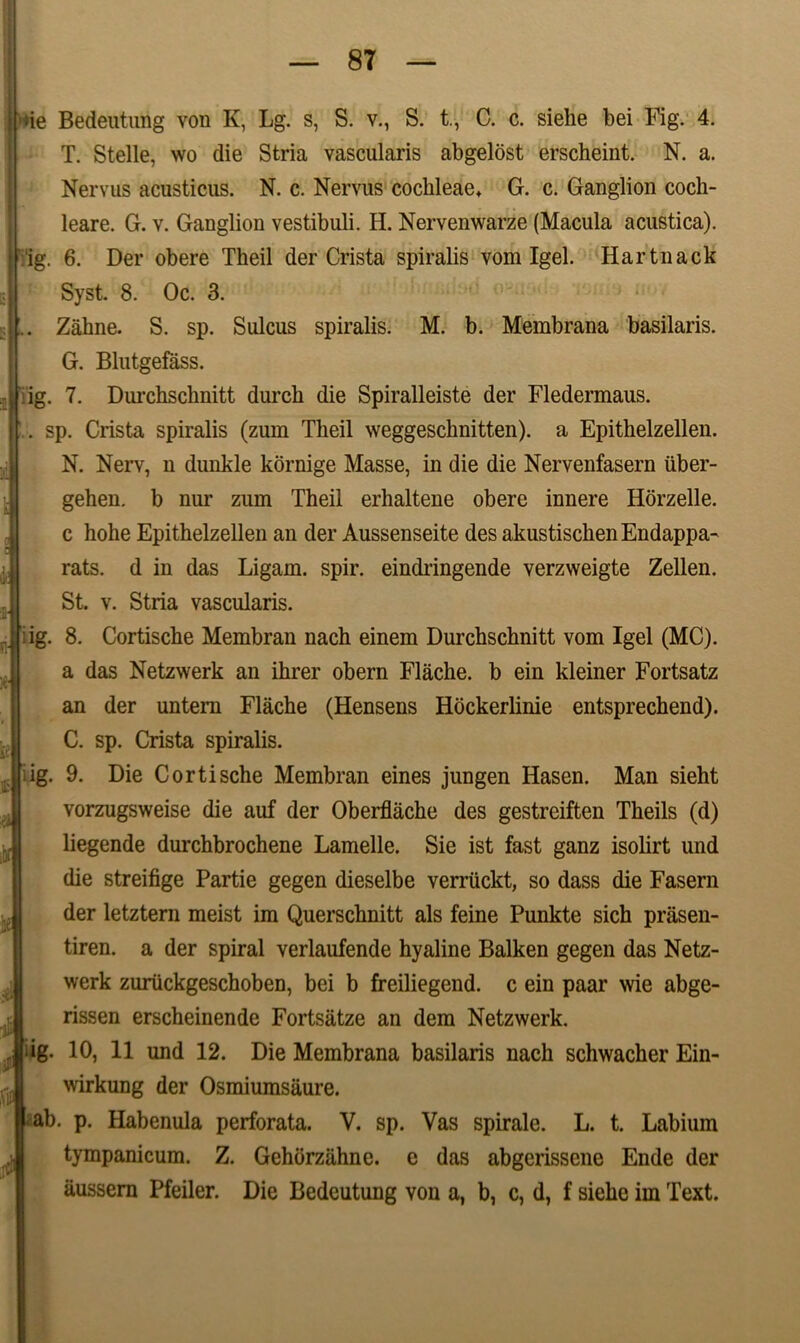 : — 8T — |'»ie Bedeutung von K, Lg. s, S. v., S. t., C. c. siehe bei Fig. 4. T. Stelle, wo die Stria vascularis abgelost erscheint. N. a. Nervus acusticus. N. c. Nervus cochleae* G. c. Ganglion coch- leare. G. v. Ganglion vestibuli. H. Nervenwarze (Macula acustica), ig. 6. Der obere Theil der Crista spiralis vom Igel. Hartnack Zahne. S. sp. Sulcus spiralis. M. b. Membrana basilaris. G. Blutgefass. ig. 7. Durchschnitt durch die Spiralleiste der Fledermaus. sp. Crista spiralis (zurn Theil weggeschnitten). a Epithelzellen. N. Nerv, n dunkle kornige Masse, in die die Nervenfasern iiber- gehen. b nur zum Theil erhaltene obere innere Horzelle. c hohe Epithelzellen an der Aussenseite des akustischenEndappa- rats. d in das Ligam, spir. eindringende verzweigte Zellen. St. v. Stria vascularis. ig. 8. Cortische Membran nach einem Durchschnitt vom Igel (MC). a das Netzwerk an ihrer obern Flache. b ein kleiner Fortsatz an der untem Flache (Hensens Hockerlinie entsprechend). C. sp. Crista spiralis. ig. 9. Die Cortische Membran eines jungen Hasen. Man sieht vorzugsweise die auf der Oberflache des gestreiften Theils (d) liegende durchbrochene Lamelle. Sie ist fast ganz isolirt und die streifige Partie gegen dieselbe verriickt, so dass die Fasern der letztern meist im Querschnitt ais feine Punkte sich prasen- tiren. a der spiral verlaufende hyaline Balken gegen das Netz- werk zuriickgeschoben, bei b freiliegend. c ein paar wie abge- rissen erscheinende Fortsatze an dem Netzwerk. iig. 10, 11 und 12. Die Membrana basilaris nach schwacher Ein- wirkung der Osmiumsaure. ab. p. Habenula perforata. V. sp. Vas spirale. L. t. Labium tympanicum. Z. Gehiirzahne. e das abgerissene Ende der aussern Pfeiler. Die Bedeutung von a, b, c, d, f siehe im Text. K $ 4 & 'X i iiii