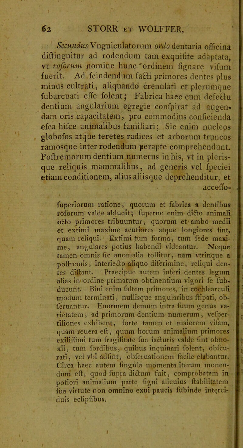 Secundus Vnguiculatorum ordo dentaria officina diftingnitur ad rodendum tam exquifite adaptata, vt roforum nomine hunc 'ordinem fi gnare vifum fuerit. Ad fcindendum facti primores dentes plus minus cultrati, aliquando crenulati et plerumque fubarcuati effe folent; Fabrica haec cum defectu dentium angularium egregie confpirat ad augeru dam oris capacitatem, pro commodius conficienda efca hifce animalibus familiari; Sic enim nucleos globofos atque teretes radices et arborum truncos ramosque inter rodendum perapte comprehendunt. Poftremorum dentium numerus in his, vt in pleris- que reliquis mammalibus, ad generis vel fpeciei etiam conditionem, alius aliisque deprehenditur, et acceffo- fuperiorum ratione, quorum et fabrica a dentibus roforum valde abludit; fuperne enim dicto animali octo primores tribuuntur, quorum et ambo medii et extimi maxime acutiores atque longiores fint, quam reliqui. Extimi tum forma, tum fede maxi- me, angulares potius habendi videantur. Neque tamen omnis fic anomalia tollitur, nam vtrinque a poftremis, interiecto aliquo difcrimine, reliqui den- tes diftant. Praecipue autem inferi dentes legum alias in' ordine primatum obtinentium vigori fe fub, ducunt. Bini enim faltem primores, in cochlearculi modum terminati, nullisquc angularibus ftlpati, ob- feruantur. Enormem demum intra fuum genus va- rietatem , ad primorum dentium numerum, vefper- tiliones exhibent, forte tamen et maiorem vifam, quam reuera eft, quum horum animalium primores exililfimi tum fragilitate fua iacturis valde fint obno- xii, tum fordibus, quibus inquinari folent, obfcu- rati, vel vl)i adlint, obferuationem facile elabantur. Circa haec autem lingula momenta iterum monen- dum eft, quod fupra dictum fuit, comprobatam in potiori animalium parte ligni alicuius Habilitatem lua virtute non omnino exui paucis fubinde intqrci- duis ecliplibus.