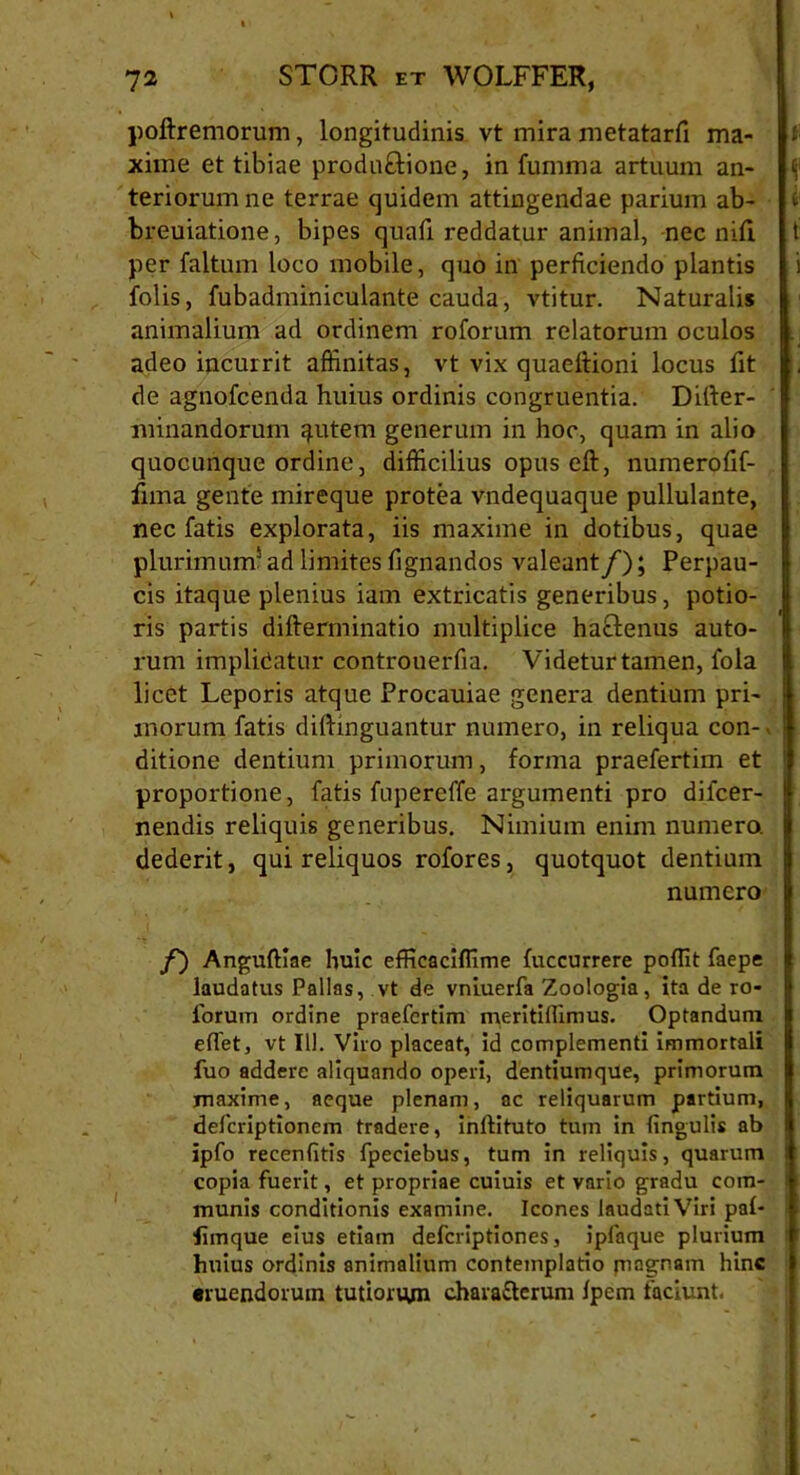 poftremorum, longitudinis vt mira metatarfi ma- £ xime et tibiae produftione, in fumma artuum an- <j teriorumne terrae quidem attingendae parium ab- t breuiatione, bipes quafi reddatur animal, nec nili t per faltum loco mobile, quo in perficiendo plantis i folis, fubadminiculante cauda, vtitur. Naturalis animalium ad ordinem roforum relatorum oculos adeo incurrit affinitas, vt vix quaeltioni locus fit de agnofcenda huius ordinis congruentia. Difter- minandorum ^utem generum in hoc, quam in alio quocunque ordine, difficilius opus eft, numerofif- fima gente mireque protea vndequaque pullulante, nec fatis explorata, iis maxime in dotibus, quae plurimum5 ad limites fignandos valeant/); Perpau- cis itaque plenius iam extricatis generibus, potio- ris partis difterminatio multiplice ha&enus auto- rum implidatur controuerfia. Videtur tamen, fola licet Leporis atque Procauiae genera dentium pri- morum fatis diftinguantur numero, in reliqua con- • ditione dentium primorum, forma praefertim et proportione, fatis fupercffe argumenti pro dilcer- nendis reliquis generibus. Nimium enim numero, dederit, qui reliquos rofores, quotquot dentium numero f) Anguftlae huic efficaciffime fuccurrere polfit faepe laudatus Pallas, vt de vniuerfa Zoologia, ita de ro- forum ordine praefertim meritiHimus. Optandum eflet, vt 111. Viro placeat, id complementi immortali fuo addere aliquando operi, dentiumque, primorum maxime, aeque plenam, ac reliquarum partium, deferiptionem tradere, inlfituto tum in lingulis ab ipfo recenfitis fpeciebus, tum in reliquis, quarum copia fuerit, et propriae cuiuis et vario gradu com- munis conditionis examine. Icones laudati Viri pal- fiinque eius etiam deferiptiones, ipfaque plurium huius ordinis animalium contemplatio pnagnam hinc •ruendorum tutionyn chava&erum fpem faciunt.