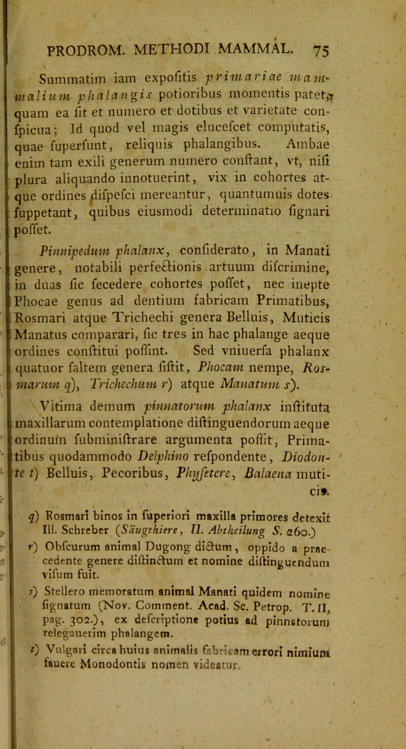 * Summatim iam expofitis primariae mam- malium phalangis potioribus momentis patet,j quam ea fit et numero et dotibus et varietate con- fpicua; Id quod vel magis elucefcet computatis, quae fuperfunt, reliquis phalangibus. Ambae enim tam exili generum numero conftant, vt, nili plura aliquando innotuerint, vix in cohortes at- que ordines (difpefci mereantur, quantumuis dotes fuppetant, quibus eiusmodi determinatio fignari poffet. Pinnipedum phalanx, confiderato, in Manati genere, notabili perfe£tionis artuum diferimine, in duas fic fecedere cohortes poffet, nec inepte Phocae genus ad dentium fabricam Primatibus, Rosmari atque Trichechi genera Beiluis, Muticis Manatus comparari, fic tres in hac phalange aeque ordines conftitui poffmt. Sed vniuerfa phalanx quatuor faltem genera fiftit, Phocam nempe, Ros- marutn q), Trichechum r) atque Manatum s). Vitima demum pinnatorum phalanx inftifuta maxillarum contemplatione diftinguendorum aeque ordinuhi fubminiftrare argumenta poffit, Prima- tibus quodammodo Delphino refpondente, Diodon- te t) Beiluis, Pecoribus, Phyfetere, Balaena muti- ci». q) Fosmari binos in fuperiori maxilla primores detexit 111. Schreber (^Saugthiere, II. Abtheilung S. 260.) r) Obfcurum animal Dugong dictum , oppido a prae- cedente genere diftinctum et nomine diltinguendum vifum fuit. r) Stellero memoratum animal Manati quidem nomine lignatum (Nov. Comment. Acad. Sc. Petrop. T. II, pag. 302.), ex deferiptione potius ad pinnatorum relegnuerim phalangem. t) Vulgari circa huius animalis fabricam errori nimium fauere Monodontis nomen videatur.