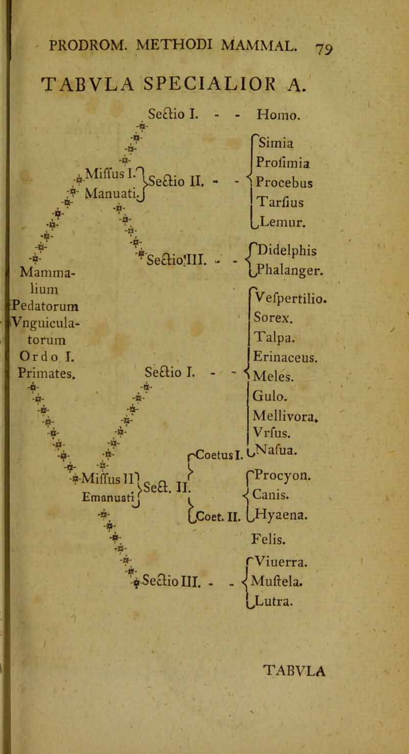TABVLA SPECIALIOR A. Se£tio I. -»• 4 4- 4 •M' ;iMiffusinSeaio n 4' ManuatiJ 4 - 4- ~£“ ‘4: 4- Mamma- lium Pedatorum Vnguicula- torum Ordo I. Primates. 4- 4- 4 4- 4- :4. 4 4 Miffus 11~J Emanuati 4 4- 4 4- 4- FSeaio;lII. Homo. Simia Profimia Procebus Tarfius ^Lemur. fDidelphis tJPhalanger. 4: 4' ■«' -W- 4- Vefpertilio. Sorex. Talpa. Erinaceus, Seaiol. - - 4 Meles. Gulo. Mellivora» V rfus. pCoetusI. ^Nafua- !> j>Se&. II. pProcyon. . <1 Canis. LCoet. II. IHyaena. f SeaioIII. - Felis, r Viuerra. . «jMuftela. (^Lutra.