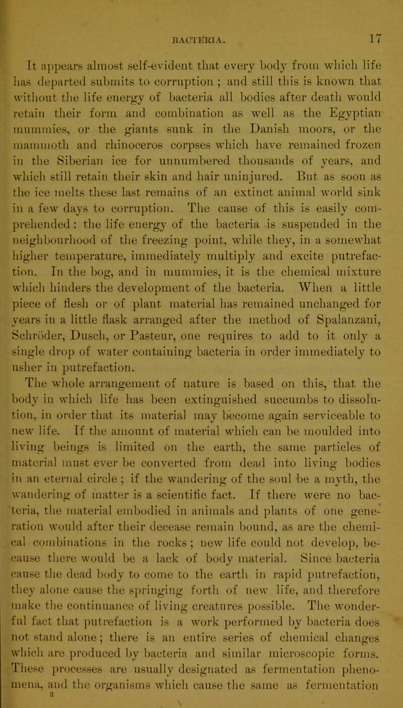 It appears almost self-evident that every body from which life has departed submits to corruption ; and still this is known that without the life energy of bacteria all bodies after death would retain their form and combination as well as the Egyptian mummies, or the giants sunk in the Danish moors, or the mammoth and rhinoceros corpses which have remained frozen in the Siberian ice for unnumbered thoiisands of years, and which still retain their skin and hair uninjured. But as soon as the ice melts these last remains of an extinct animal world sink in a few days to corruption. The cause of this is easily com- prehended : the life energy of the bacteria is suspended in the neighbourhood of the freezing point, while they, in a somewhat higher temperature, immediately multiply and excite putrefac- tion. In the bog, and in mummies, it is the chemical mixture which hinders the development of the bacteria. When a little piece of flesh or of plant material has remained unchanged for years in a little flask arranged after the method of Spalanzani, Schroder, Dusch, or Pasteur, one requires to add to it onl}' a single drop of water containing bacteria in order immediately to usher in putrefaction. The whole arrangement of nature is based on this, that the body in which life has been extinguished succumbs to dissolu- tion, in order that its material may become again serviceable to new life. If the amount of material which can be moulded into living beings is limited on the earth, the same particles of material must ever be converted from dead into living bodies in an eternal circle ; if the wandering of the soul be a myth, the wandering of matter is a scientiflc fact. If there were no bac- teria, the material embodied in animals and plants of one gene- ration would after their decease remain bound, as are the chemi- cal combinations in the rocks; new life could not develop, be- cause there would be a lack of body material. Since bacteria cause the dead body to come to the earth in rapid putrefaction, they alone cause the springing forth of new life, and therefore make the continuance of living creatures possible. The wonder- ful fact that putrefaction is a work perfoianed by bacteria does not stand alone; there is an entire sei*ies of chemical changes which are produced by bacteria and similar microscopic forms. These processes are usually designated as fermentation pheno- mena, and the organisms which cause the same as fermentation 3 \