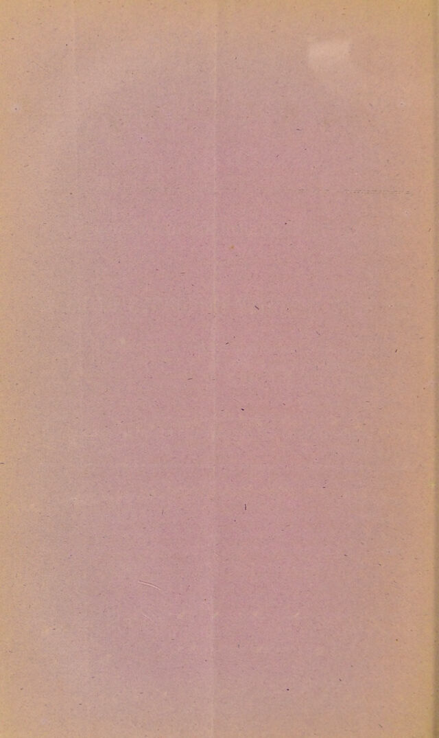 digitised image 2