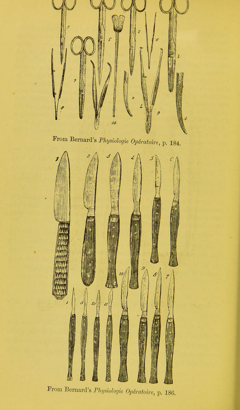 From Bernard’s Physiologie Operatoire, p. 184. From Bernard’s Physiologic Operatoire, p. 18G.