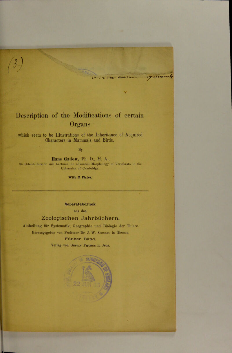 !/*■ -, »(, /<MX T 'I ts - T Description of the Modifications of certain Organs which seem to be Illustrations of the Inheritance of Acquired Characters in Mammals and Birds. By Hans Ga<low, Ph. D., M. A., Strickland-Curator and Lecturer on advanced Morphology of Vertebrate in the University of Cambridge. Zoologischen Jahrbuchern. Abtheiluug fUr Systematik, Geographic und Biologie der Thiere. Herausgegeben von Professor Dr. J. W. Spengel in Giessen. Funfter Band. Verlag von Gustav Fischer in Jena. With 2 Plates. Separatabdruck aus den