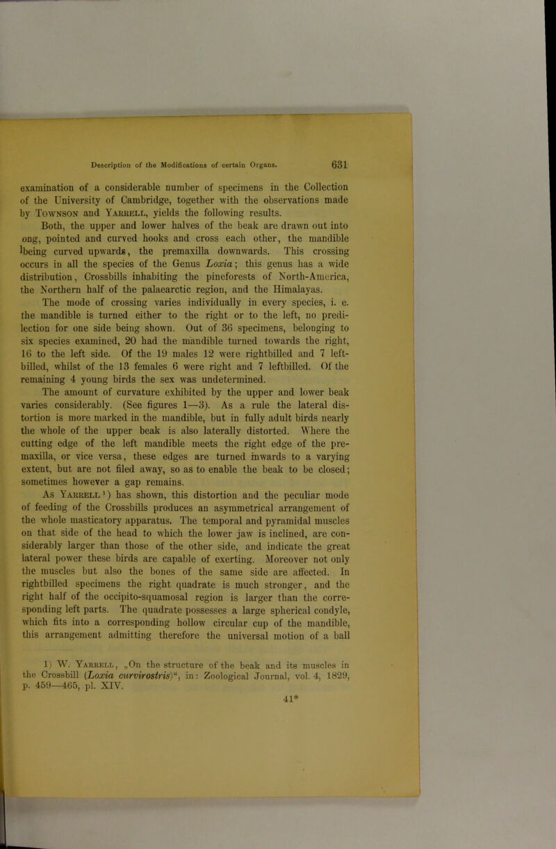 examination of a considerable number of specimens in the Collection of the University of Cambridge, together with the observations made by Townson and Yarrell, yields the following results. Both, the upper and lower halves of the beak are drawn out into ong, pointed and curved hooks and cross each other, the mandible Ibeing curved upwards, the premaxilla downwards. This crossing occurs in all the species of the Genus Loxia; this genus has a wide distribution, Crossbills inhabiting the pineforests of North-America, the Northern half of the palaearctic region, and the Himalayas. The mode of crossing varies individually in every species, i. e. the mandible is turned either to the right or to the left, no predi- lection for one side being shown. Out of 36 specimens, belonging to six species examined, 20 had the mandible turned towards the right, 16 to the left side. Of the 19 males 12 were rightbilled and 7 left- billed, whilst of the 13 females 6 were right and 7 leftbilled. Of the remaining 4 young birds the sex was undetermined. The amount of curvature exhibited by the upper and lower beak varies considerably. (See figures 1—3). As a rule the lateral dis- tortion is more marked in the mandible, but in fully adult birds nearly the whole of the upper beak is also laterally distorted. Where the cutting edge of the left mandible meets the right edge of the pre- maxilla, or vice versa, these edges are turned inwards to a varying extent, but are not filed away, so as to enable the beak to be closed; sometimes however a gap remains. As Yarrell1) has shown, this distortion and the peculiar mode of feeding of the Crossbills produces an asymmetrical arrangement of the whole masticatory apparatus. The temporal and pyramidal muscles on that side of the head to which the lower jaw is inclined, are con- siderably larger than those of the other side, and indicate the great lateral power these birds are capable of exerting. Moreover not only the muscles but also the bones of the same side are affected. In rightbilled specimens the right quadrate is much stronger, and the right half of the occipito-squamosal region is larger thau the corre- sponding left parts. The quadrate possesses a large spherical condyle, which fits into a corresponding hollow circular cup of the mandible, this arrangement admitting therefore the universal motion of a ball 1) W. Yarrell, „On the structure of the beak and its muscles in the Crossbill (Loxia curvirostris)“, in: Zoological Journal, vol. 4, 1829, p. 459—465, pi. XIV. 41*