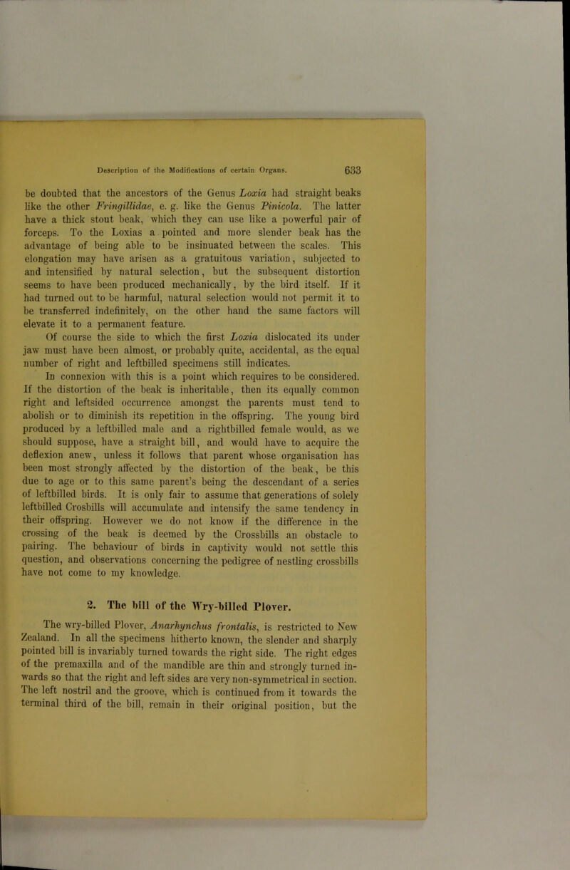 be doubted that the ancestors of the Genus Loxia had straight beaks like the other Fringillidae, e. g. like the Genus Pinicola. The latter have a thick stout beak, which they can use like a powerful pair of forceps. To the Loxias a pointed and more slender beak has the advantage of being able to be insinuated between the scales. This elongation may have arisen as a gratuitous variation, subjected to and intensified by natural selection, but the subsequent distortion seems to have been produced mechanically, by the bird itself. If it had turned out to be harmful, natural selection would not permit it to be transferred indefinitely, on the other hand the same factors will elevate it to a permanent feature. Of course the side to which the first Loxia dislocated its under jawr must have been almost, or probably quite, accidental, as the equal number of right and leftbilled specimens still indicates. In connexion with this is a point which requires to be considered. If the distortion of the beak is inheritable, then its equally common right and leftsided occurrence amongst the parents must tend to abolish or to diminish its repetition in the offspring. The young bird produced by a leftbilled male and a rightbilled female would, as we should suppose, have a straight bill, and would have to acquire the deflexion anew, unless it follows that parent whose organisation has been most strongly affected by the distortion of the beak, be this due to age or to this same parent’s being the descendant of a series of leftbilled birds. It is only fair to assume that generations of solely leftbilled Crosbills will accumulate and intensify the same tendency in their offspring. However we do not know if the difference in the crossing of the beak is deemed by the Crossbills an obstacle to pairing. The behaviour of birds in captivity would not settle this question, and observations concerning the pedigree of nestling crossbills have not come to my knowledge. 2. The bill of the Wry-billed Plover. The wry-billed Plover, Anarhynchus frontalis, is restricted to New Zealand. In all the specimens hitherto known, the slender and sharply pointed bill is invariably turned towards the right side. The right edges of the premaxilla and of the mandible are thin and strongly turned in- wards so that the right and left sides are very non-symmetrical in section. The left nostril and the groove, which is continued from it towards the terminal third of the bill, remain in their original position, but the