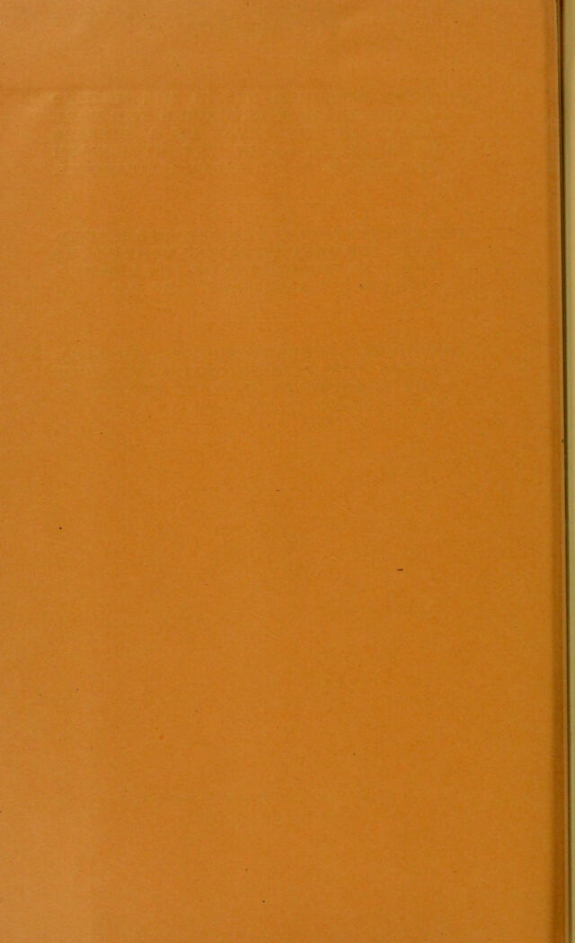 digitised image 2