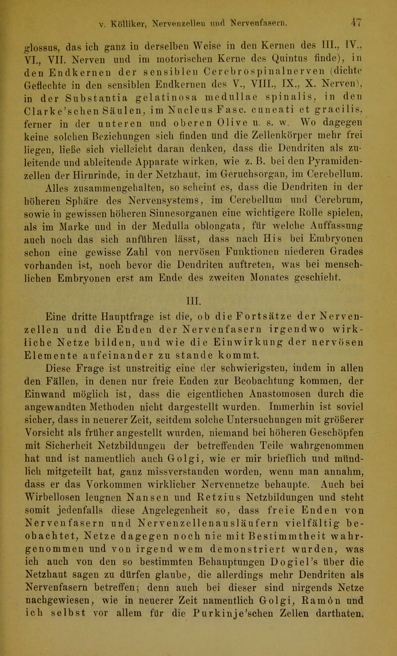 glossus, das ich ganz in derselben Weise in den Kernen des IlL, IV., VI., VII. Nerven und ini motorischen Kerne des Quintus linde), in den Endkerneu der sensiblen Cerebrospinalnerveu (dichte Geflechte in den sensiblen Endkernen des V., VIII., IX., X. Nerven), in der Substantia gelatinosa medullae spinalis, in den Clarke’schen Scäulen, im Nucleus Fase, cuneati et gracilis, ferner in der unteren und oberen Olive u. s. w. Wo dagegen keine solchen Beziehungen sich finden und die Zellenkörper mehr frei liegen, ließe sich vielleicht daran denken, dass die Dendriten als zu- leitende und ableiteude Apparate wirken, wie z. B. bei den Pyramiden- zelleu der Hirnrinde, in der Netzhaut, im Geruchsorgan, im Cerebellum. Alles zusammengehalten, so scheint es, dass die Dendriten in der höheren Sphäre des Nervensystems, im Cerebellum und Cerebrum, sowie in gewissen höheren Sinnesorganen eine wichtigere Rolle spielen, als im Marke und in der Medulla oblongata, für welche Auffassung auch noch das sich an führen lässt, dass nach His bei Embryonen schon eine gewisse Zahl von nervösen Funktionen niederen Grades vorhanden ist, noch bevor die Dendriten auftreten, was bei mensch- lichen Embryonen erst am Ende des zweiten Monates geschieht. 111. Eine dritte Hauptfrage ist die, ob die Fortsätze der Nerven- zellen und die Enden der Nervenfasern irgendwo wirk- liche Netze bilden, und wie die Einwirkung der nervösen Elemente aufeinander zu stände kommt. Diese Frage ist unstreitig eine der schwierigsten, indem in allen den Fällen, in denen nur freie Enden zur Beobachtung kommen, der Einwand möglich ist, dass die eigentlichen Anastomosen durch die angewandten Methoden nicht dargestellt wurden. Immerhin ist soviel sicher, dass in neuerer Zeit, seitdem solche Untersuchungen mit größerer Vorsicht als früher angestellt wurden, niemand bei höheren Geschöpfen mit Sicherheit Netzbildungen der betreffenden Teile wahrgenommen hat und ist namentlich auch Golgi, wie er mir brieflich und münd- lich mifgeteilt hat, ganz missverstanden worden, wenn man annahm, dass er das Vorkommen wirklicher Nervennetze behaupte. Auch bei Wirbellosen leugnen Nansen und Retzius Netzbildungen und steht somit jedenfalls diese Angelegenheit so, dass freie Enden von Nervenfasern und Nervenzellenausläufern vielfältig be- obachtet, Netze dagegen noch nie mit Bestimmtheit wahr- genommen und von irgend wem demonstriert wurden, was ich auch von den so bestimmten Behauptungen Dogiel’s über die Netzhaut sagen zu dürfen glaube, die allerdings mehr Dendriten als Nervenfasern betreffen; denn auch bei dieser sind nirgends Netze nachgewiesen, wie in neuerer Zeit namentlich Golgi, Ramön und ich selbst vor allem für die Purkinje'sehen Zellen darthaten.