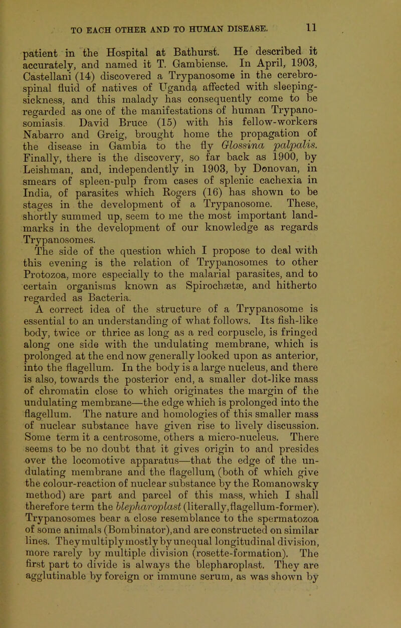 patient in the Hospital at Bathurst. He described it accurately, and named it T. Gambiense, In April, 1903, Castellani (14) discovered a Trypanosome in the cerebro- spinal fluid of natives of Ugandq, affected with sleeping- sickness, and this malady has consequently come to be regarded as one of the manifestations of human Trypano- somiasis. David Bruce (15) with his fellow-workers Nabarro and Greig, brought home the propagation of the disease in Gambia to the fly Glossina palpalis. Finally, there is the discovery, so far back as 1900, by Leishman, and, independently in 1903, by Donovan, in smears of spleen-pulp from cases of splenic cachexia in India, of parasites which Rogers (16) has shown to be stages in the development of a Trypanosome. These, shortly summed up, seem to me the most important land- marks in the development of our knowledge as regards Trypano.somes. The side of the question which I propose to deal with this evening is the relation of Trypanosomes to other Protozoa, more especially to the malarial parasites, and to certain organisms known as Spirochmtse, and hitherto regarded as Bacteria. A correct idea of the structure of a Trypanosome is essential to an understanding of what follows. Its fish-like body, twice or thrice as long as a red corpuscle, is fringed along one side with the undulating membrane, which is prolonged at the end now generally looked upon as anterior, into the flagellum. In the body is a large nucleus, and there is also, towards the posterior end, a smaller dot-like mass of chromatin close to which originates the margin of the undulating membrane—the edge which is prolonged into the flagellum. The nature and homologies of this smaller mass of nuclear substance have given rise to lively discussion. Some term it a centrosome, others a micro-nucleus. There seems to be no doubt that it gives origin to and presides over the locomotive apparatus—that the edge of the un- dulating membrane and the flagellurq (both of which give the colour-reaction of nuclear substance by the Romanowsky method) are part and parcel of this mass, which I shall therefore term the hlepharoplast (literally,flagellum-former). Trypanosomes bear a close resemblance to the spermatozoa of some animals (Bombinator),and are constructed on similar lines. They multiply mostly by unequal longitudinal division, more rarely by multiple division (rosette-formation). The first part to divide is always the hlepharoplast. They are agglutinable by foreign or immune serum, as was shown by