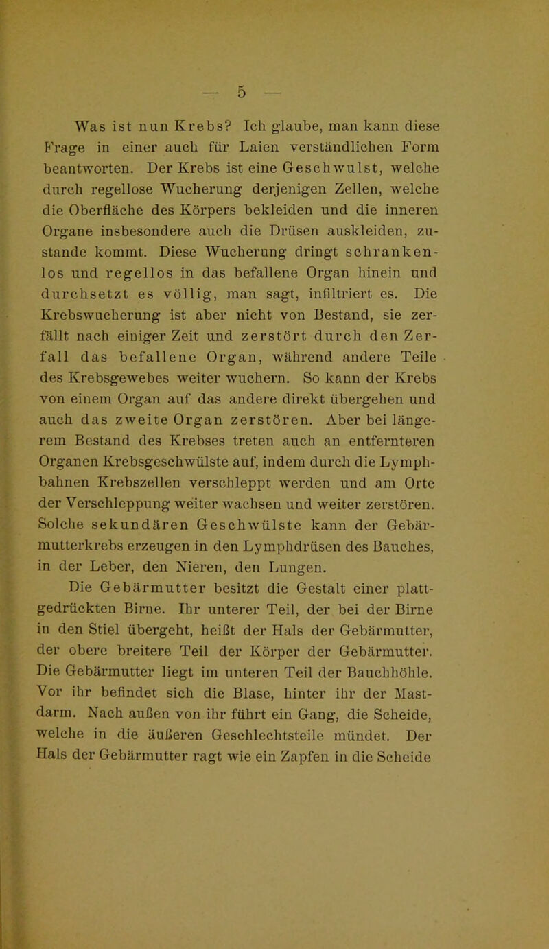 Was ist nun Krebs? Ich glaube, man kann diese Frage in einer auch für Laien verständlichen Form beantworten. Der Krebs ist eine Geschwulst, welche durch regellose Wucherung derjenigen Zellen, welche die Oberfläche des Körpers bekleiden und die inneren Organe insbesondere auch die Drüsen auskleiden, zu- stande kommt. Diese Wucherung dringt schranken- los und regellos in das befallene Organ hinein und durchsetzt es völlig, man sagt, infiltriert es. Die Krebswucherung ist aber nicht von Bestand, sie zer- fällt nach einiger Zeit und zerstört durch den Zer- fall das befallene Organ, während andere Teile des Krebsgewebes weiter wuchern. So kann der Krebs von einem Organ auf das andere direkt übergehen und auch das zweite Organ zerstören. Aber bei länge- rem Bestand des Krebses treten auch an entfernteren Organen Krebsgeschwülste auf, indem durch die Lymph- bahnen Krebszellen verschleppt werden und am Orte der Verschleppung weiter wachsen und weiter zerstören. Solche sekundären Geschwülste kann der Gebär- rautterkrebs erzeugen in den Lymphdrüsen des Bauches, in der Leber, den Nieren, den Lungen. Die Gebärmutter besitzt die Gestalt einer platt- gedrückten Birne. Ihr unterer Teil, der bei der Birne in den Stiel übergeht, heißt der Hals der Gebärmutter, der obere breitere Teil der Körper der Gebärmutter. Die Gebärmutter liegt im unteren Teil der Bauchhöhle. Vor ihr befindet sich die Blase, hinter ihr der Mast- darm. Nach außen von ihr fühx’t ein Gang, die Scheide, welche in die äußeren Geschlechtsteile mündet. Der Hals der Gebärmutter ragt wie ein Zapfen in die Scheide