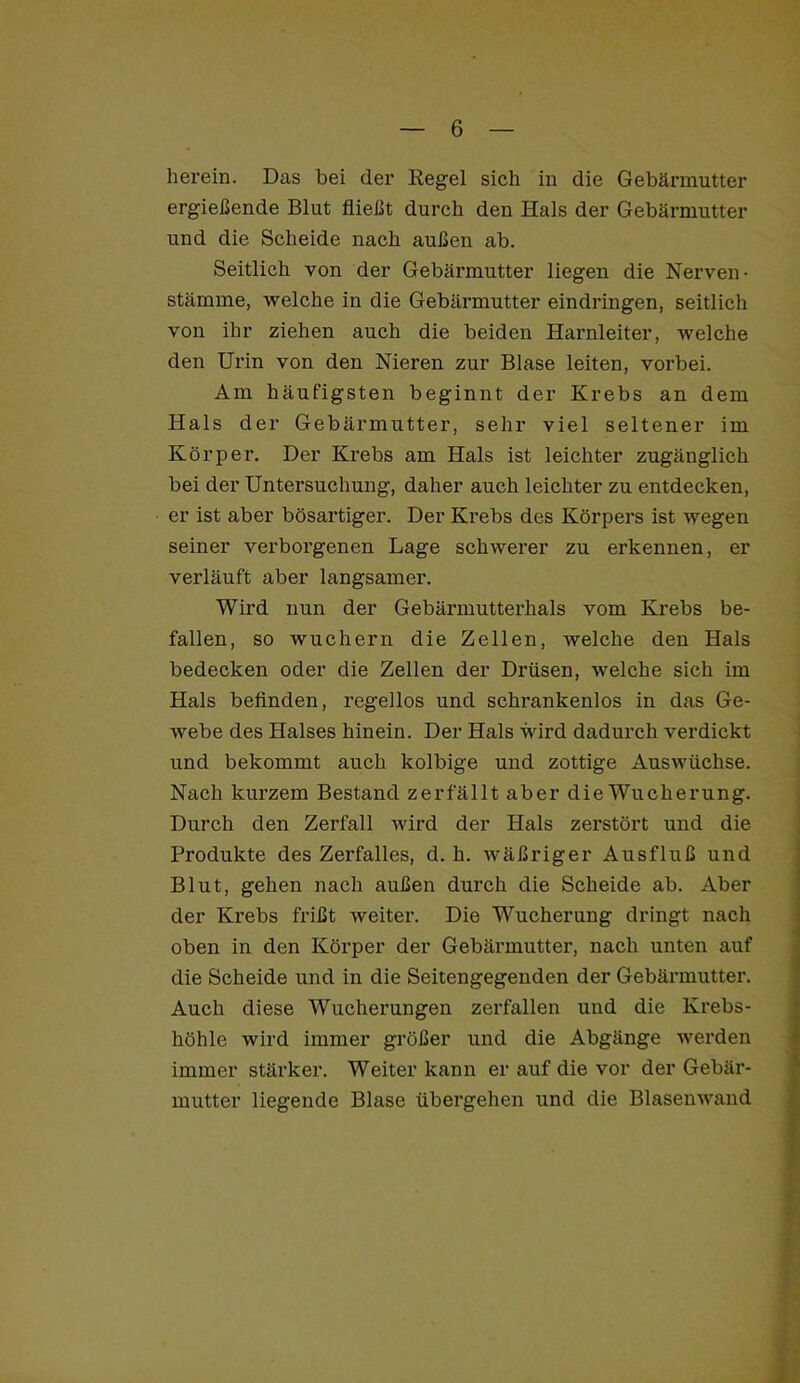 ergießende Blut fließt durch den Hals der Gebärmutter und die Scheide nach außen ab. Seitlich von der Gebärmutter liegen die Nerven- Stämme, welche in die Gebärmutter eindringen, seitlich von ihr ziehen auch die beiden Harnleiter, welche den Urin von den Nieren zur Blase leiten, vorbei. Am häufigsten beginnt der Krebs an dem Hals der Gebärmutter, sehr viel seltener im Körper. Der Krebs am Hals ist leichter zugänglich bei der Untersuchung, daher auch leichter zu entdecken, er ist aber bösartiger. Der Krebs des Körpers ist wegen seiner verborgenen Lage schwerer zu erkennen, er verläuft aber langsamer. Wird nun der Gebärmutterhals vom Krebs be- fallen, so wuchern die Zellen, welche den Hals bedecken oder die Zellen der Drüsen, welche sich im Hals befinden, regellos und schrankenlos in das Ge- webe des Halses hinein. Der Hals wird dadurch verdickt und bekommt auch kolbige und zottige Auswüchse. Nach kurzem Bestand zerfällt aber die Wucherung. Durch den Zerfall wird der Hals zerstört und die Produkte des Zerfalles, d. h. wäßriger Ausfluß und Blut, gehen nach außen durch die Scheide ab. Aber der Krebs frißt weiter. Die Wucherung dringt nach oben in den Körper der Gebärmutter, nach unten auf die Scheide und in die Seitengegenden der Gebärmutter. Auch diese Wucherungen zerfallen und die Krebs- höhle wird immer größer und die Abgänge werden immer stärker. Weiter kann er auf die vor der Gebär- mutter liegende Blase übergehen und die Blasenwand