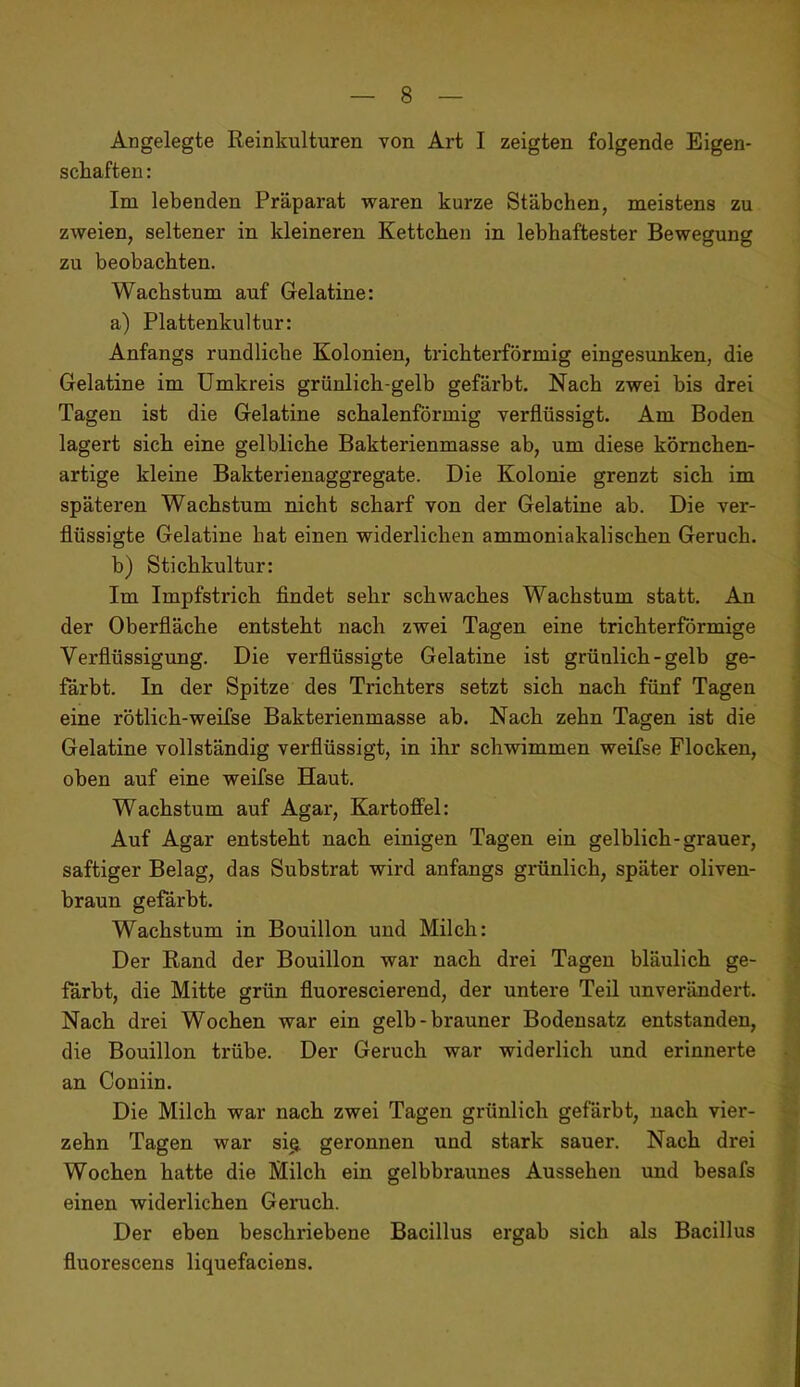 Angelegte Reinkulturen von Art I zeigten folgende Eigen- schaften : Im lebenden Präparat waren kurze Stäbchen, meistens zu zweien, seltener in kleineren Kettchen in lebhaftester Bewegung zu beobachten. Wachstum auf Gelatine: a) Plattenkultur: Anfangs rundliche Kolonien, trichterförmig eingesunken, die ' Gelatine im Umkreis grünlich-gelb gefärbt. Nach zwei bis drei i Tagen ist die Gelatine schalenförmig verflüssigt. Am Boden lagert sich eine gelbliche Bakterienmasse ab, um diese körnchen- artige kleine Bakterienaggregate. Die Kolonie grenzt sich im ! späteren Wachstum nicht scharf von der Gelatine ab. Die ver- ■ flüssigte Gelatine hat einen widerlichen ammoniakalischen Geruch. ; b) Stichkultur: Im Impfstrich findet sehr schwaches Wachstum statt. An der Oberfiäche entsteht nach zwei Tagen eine trichterförmige Verflüssigung. Die verflüssigte Gelatine ist grünlich - gelb ge- färbt. In der Spitze des Trichters setzt sich nach fünf Tagen eine rötlich-weifse Bakterienmasse ab. Nach zehn Tagen ist die Gelatine vollständig verflüssigt, in ihr schwimmen weifse Flocken, oben auf eine weifse Haut. Wachstum auf Agar, Kartoffel: Auf Agar entsteht nach einigen Tagen ein gelblich-grauer, | saftiger Belag, das Substrat wird anfangs grünlich, später oliven- 1 braun gefärbt. r Wachstum in Bouillon und Milch: Der Rand der Bouillon war nach drei Tagen bläulich ge- färbt, die Mitte grün fluorescierend, der untere Teil unverändei't. h Nach drei Wochen war ein gelb-brauner Bodensatz entstanden, W die Bouillon trübe. Der Geruch war widerlich und erinnerte an Coniin. ^ Die Milch war nach zwei Tagen grünlich gefärbt, nach vier- ^ zehn Tagen war si^ geronnen und stark sauer. Nach drei Wochen hatte die Milch ein gelbbraunes Aussehen und besafs einen widerlichen Geruch. Der eben beschriebene Bacillus ergab sich als Bacillus fluorescens liquefaciens.