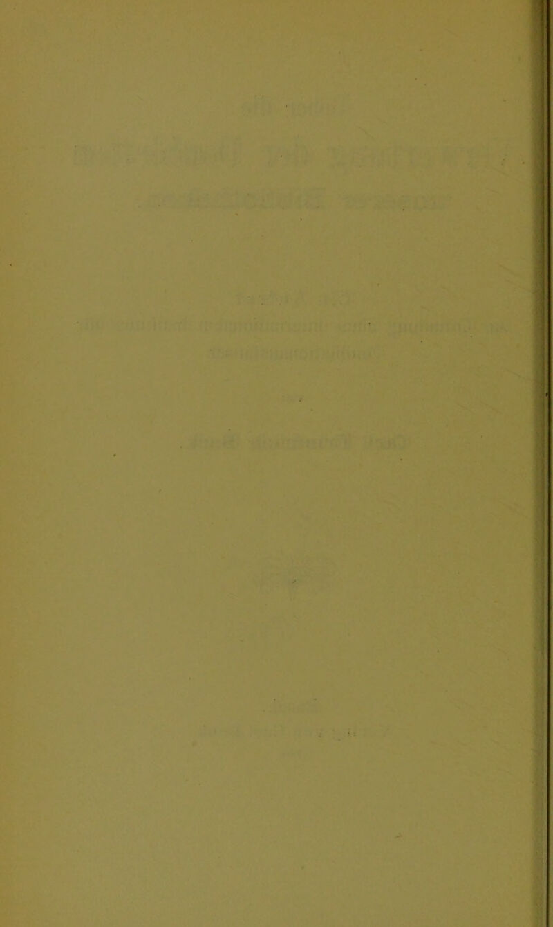 t-'r; • ^ 4.^ , •*'^)f -» ,’’* ;•'. r ä<)u* ‘ ?ffi; vi?;.-:^:p;mün>jiii£^^ tf . * ^ ■ r-^; . v.vV'OT?; u' ■ ,^*’- '’l-i '^ÄfiaH»''' ' ■ ■jt ■ l> ' ■, VFV V- S«449 m tv ry- ' • -'e-S^V t , •■(^ ■ »> ‘ V^..' >♦-% V • • •■'■ •■■yi;. vr y'''!:'^^ ,..T:*^, , -.m. .y.',. : Vä,-?«-, ■ ^ » A ’Hy ■ j. < ..i^gi. • V-f» ‘ ^ ■;,''< ' ' V' *- '■»'- . y:H' 'ys'-^;: ■i-. ■■^c'r^' ♦•'• .ij*^ *■■ ■Xf^ -.■ mmmÄ. .;. /;>': v^'l rvfc'-’M^