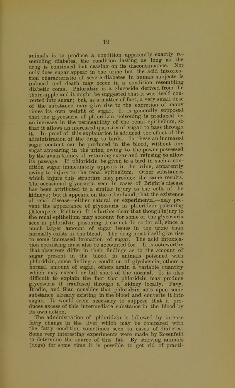 animals is to produce a condition apparently exactly re- sembling diabetes, the condition lasting as long as the drug is continued but ceasing on its discontinuance. Not only does sugar appear in the urine but the acid intoxica- tion characteristic of severe diabetes in human subjects is induced and death may occur in a condition resembling diabetic coma. Phloridzin is a glucoside derived from the thorn-apple and it might be suggested that it was itself con- verted into sugar; but, as a matter of fact, a very small dose of the substance may give rise to the excretion of many times its own weight of sugar. It is generally supposed that the glycosuria of phloridzin poisoning is produced by an increase in the permeability of the renal epithelium, so that it allows an increased quantity of sugar to pass through it. In proof of this explanation is adduced the effect of the administration of the drug to birds. In these an increased sugar content can be produced in the blood, without any sugar appearing in the urine, owing to the power possessed by the avian kidney of retaining sugar and refusing to allow its passage. If phloridzin be given to a bird in such a con- dition sugar immediately appears in the urine, apparently owing to injury to the renal epithelium. Other substances which injure this structure may produce the same results. The occasional glycosuria seen in cases of Bright’s disease has been attributed to a similar injury to the cells of the kidneys; but it appears, on the other hand, that the existence of renal disease—either natural or experimental—may pre- vent the appearance of glycosuria in phloridzin poisoning (Klemperer, Richter). It is further clear that though injury to the renal epithelium may account for some of the glycosuria seen in phloridzin poisoning it cannot do so for all, since a much larger amount of sugar issues in the urine than normally exists in the blood. The drug must itself give rise to some increased formation of sugar. The acid intoxica- tion coexisting must also be accounted for. It is noteworthy that observers differ in their findings as to the amount of sugar present in the blood in animals poisoned with phloridzin, some finding a condition of glychaemia, others a normal amount of sugar, others again a variable quantity which may exceed or fall short of the normal. It is also difficult to explain the fact that phloridzin may produce glycosuria if tranfused through a kidney locally. Pavy, Brodie, and Siau consider that phloridzin acts upon some substance already existing in the blood and converts it into sugar. It would seem necessary to suppose that it pro- duces excess of this intermediate substance in the blood by its own action. The administration of phloridzin is followed by intense fatty change in the liver which may be compared with the fatty condition sometimes seen in cases of diabetes. Some very interesting experiments were made by Rosenfeld to determine the source of this fat. By starving animals (dogs) for some time it is possible to get rid of practi-
