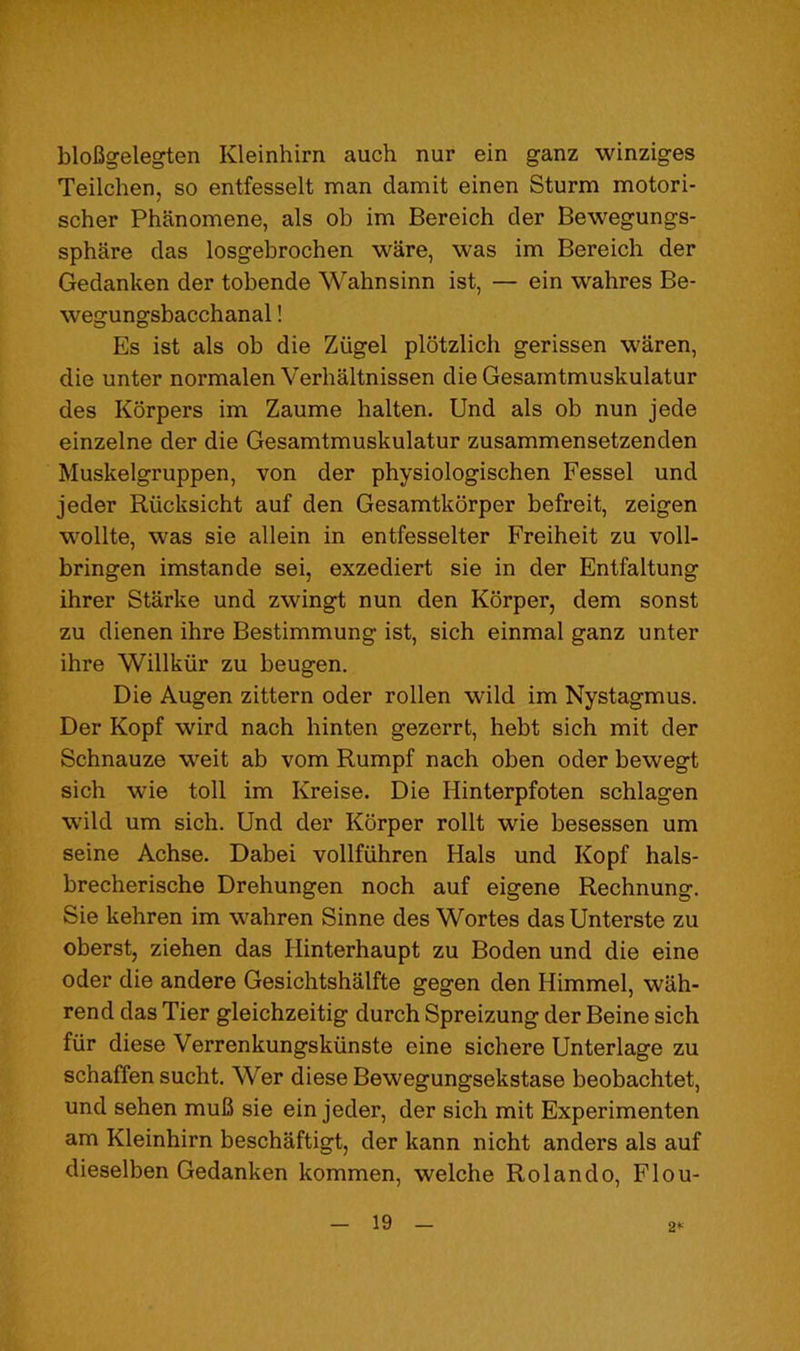 blofigelegten Kleinhirn auch nur ein ganz winziges Teilchen, so entfesselt man damit einen Sturm motori- scher Phanomene, als ob im Bereich der Bewegungs- sphare das losgebrochen ware, was im Bereich der Gedanken der tobende Wahnsinn ist, — ein wahres Be- wegungsbacchanal! Es ist als ob die Ziigel plotzlich gerissen waren, die unter normalen Verhaltnissen die Gesamtmuskulatur des Korpers im Zaume halten. Und als ob nun jede einzelne der die Gesamtmuskulatur zusammensetzenden Muskelgruppen, von der physiologischen Fessel und jeder Riicksicht auf den Gesamtkorper befreit, zeigen wollte, was sie allein in entfesselter Freiheit zu voll- bringen imstande sei, exzediert sie in der Entfaltung ihrer Starke und zwingt nun den Korper, dem sonst zu dienen ihre Bestimmung ist, sich einmal ganz unter ihre Willkiir zu beugen. Die Augen zittern oder rollen wild im Nystagmus. Der Kopf wird nach hinten gezerrt, hebt sich mit der Schnauze weit ab vom Rumpf nach oben oder bewegt sich wie toll im Kreise. Die Hinterpfoten schlagen w'ild um sich. Und der Korper rollt wie besessen um seine Achse. Dabei vollfiihren Hals und Kopf hals- brecherische Drehungen noch auf eigene Rechnung. Sie kehren im wahren Sinne des Wortes das Unterste zu oberst, ziehen das Hinterhaupt zu Boden und die eine oder die andere Gesichtshalfte gegen den Himmel, wah- rend das Tier gleichzeitig durch Spreizung der Beine sich fiir diese Verrenkungskiinste eine sich ere Unterlage zu schaffen sucht. Wer diese Bewegungsekstase beobachtet, und sehen mu6 sie ein jeder, der sich mit Experimenten am Kleinhirn beschaftigt, der kann nicht anders als auf dieselben Gedanken kommen, welche Rolando, Flou- 2*^