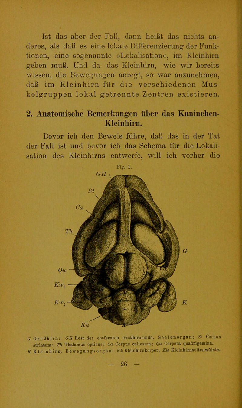 1st das aber dcr Fall, dann heifit das nichts an- deres, als daI5 es eine lokale Differenzierung der Funk- tionen, eine sogenannte »Lokalisation«, im Kleinhirn geben mu6, Und da das Kleinhirn, wie wir bereits wissen, die Bewegungen anregt, so war anzunehmen, dab im Kleinhirn fiir die verschiedenen Mus- kelgruppen lokal getrennte Zentren existieren. 2. Anatomische Bemerkungen iiber das Kaninchen- Kleinhini. Bevor ich den Beweis fiihre, daB das in der Tat der Fall ist und bevor ich das Schema fiir die Lokali- sation des Kleinhirns entwerfe, will ich vorher die Fig. 1. C GroChirn: G2/Rest der entfernten GroBhimrindo, Seclcnorgan; St Corpus striatum; Th Thalamus opticus; Ca Corpus callosum; Cu Corpora quadrigemina. Kleinhirn, Bowegungsorgan; jSTl: Kleinhirnkorper; A'lo Klcinhirnsoitenwiilste.