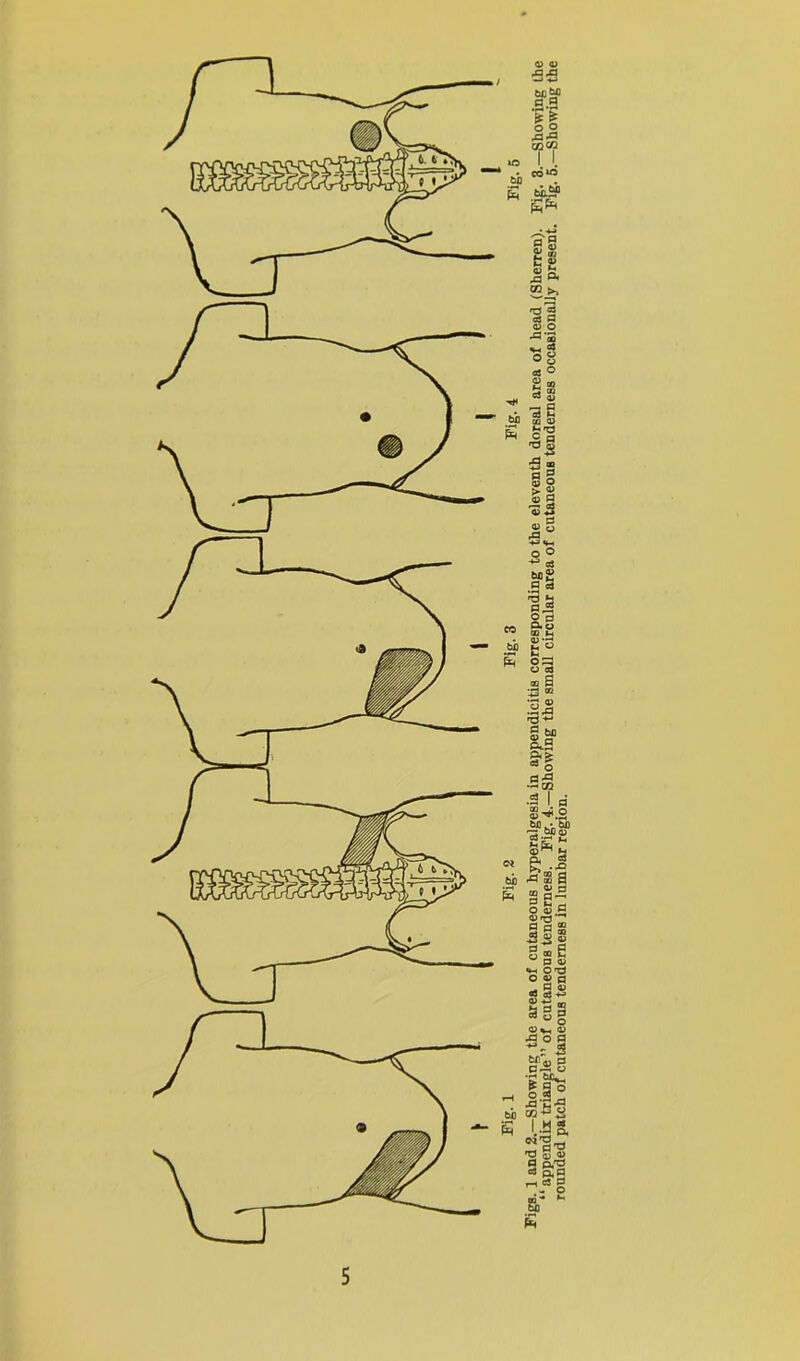 bflbX) 0.0 V £ ° 2 Xi .O T | cd*« o' n Sg fc 0) Is. s >? *d 2 <3 O