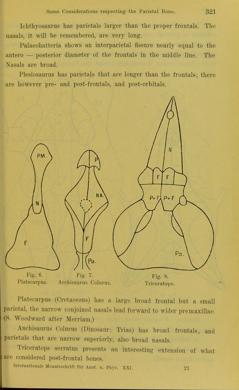 Ichthyosaurus has parietals larger than the proper frontals. The nasals, it will be remembered, are very long. Palaeohatteria shows an interparietal fissure nearly equal to the antero — posterior diameter of the frontals in the middle line. The Nasals are broad. Plesiosaurus has parietals that are longer than the frontals; there are however pre- and post-frontals, and post-orbitals. Platecarpus (Cretaceous) has a large broad frontal but a small parietal, the narrow conjoined nasals lead forward to wider premaxillae. (S. Woodward after Merriam.) Anchisaurus Colurus (Dinosaur; Trias) has broad frontals, and parietals that are narrow superiorly, also broad nasals. 1 riceratops serratus presents an interesting extension of what are considered post-frontal bones. Internatiouale Monatsschrlft fiir Anat. u. Phys. XXI 21