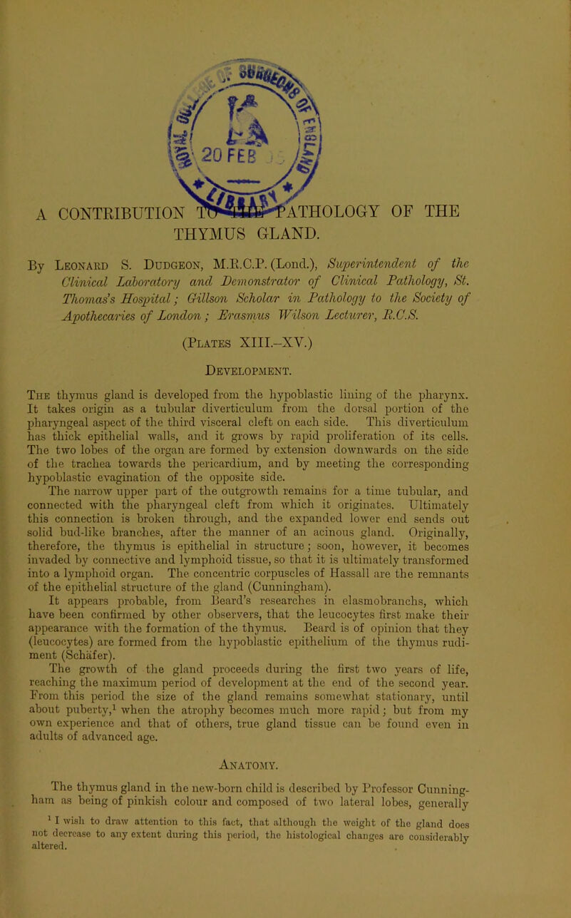 By Leonard S. Dudgeon, M.E.C.P. (Lond.), Superintendent of the Clinical Laboratory and Demonstrator of Clinical Pathology, St. Thomas’s Hospital; Qillson Scholar in Pathology to the Society of Apothecaries of London; Erasnnts Wilson Lecturer, B.C.S. (Plates XIII.-XV.) Development. Tue thymus gland is developed from the hypoblastic lining of the pharynx. It takes origin as a tubular diverticulum from the dorsal portion of the pharyngeal aspect of the third visceral cleft on each side. This diverticulum has thick epithelial walls, and it grows by rapid proliferation of its cells. The two lobes of the organ are formed by extension downwards on the side of the trachea towards the pericardium, and by meeting the corresponding hypoblastic evagination of the opposite side. The narrow upper part of the outgrowth remams for a time tubular, and connected with the pharyngeal cleft from which it originates. Ultimately this connection is broken through, and the expanded lower end sends out solid bud-like branches, after the manner of an acinous gland. Originally, therefore, the thymus is epithelial in structure; soon, however, it becomes invaded by connective and lymphoid tissue, so that it is ultimately transformed into a lymphoid organ. The concentric corpuscles of Hassall are the remnants of the epithelial structure of the gland (Cunningham). It appears probable, from Beard’s researches in elasmobranchs, which have been confirmed by other observers, that the leucocytes first make their appearance with the formation of the thymus. Beard is of opinion that they (leucocytes) are formed from the hypoblastic epithelium of the thymus rudi- ment (Schafer). The growth of the gland proceeds during the first two years of life, reaching the maximum period of development at the end of the second year. Prom this period the size of the gland remains somewhat stationary, until about puberty,1 when the atrophy becomes much more rapid; but from my own experience and that of others, true gland tissue can be found even in adults of advanced age. Anatomy. The thymus gland in the new-born child is described by Professor Cunning- ham as being of pinkish colour and composed of two lateral lobes, generally ' I wisli to draw attention to tliis fact, that although the weight of the gland does not decrease to any extent during this period, the histological changes are considerably altered.