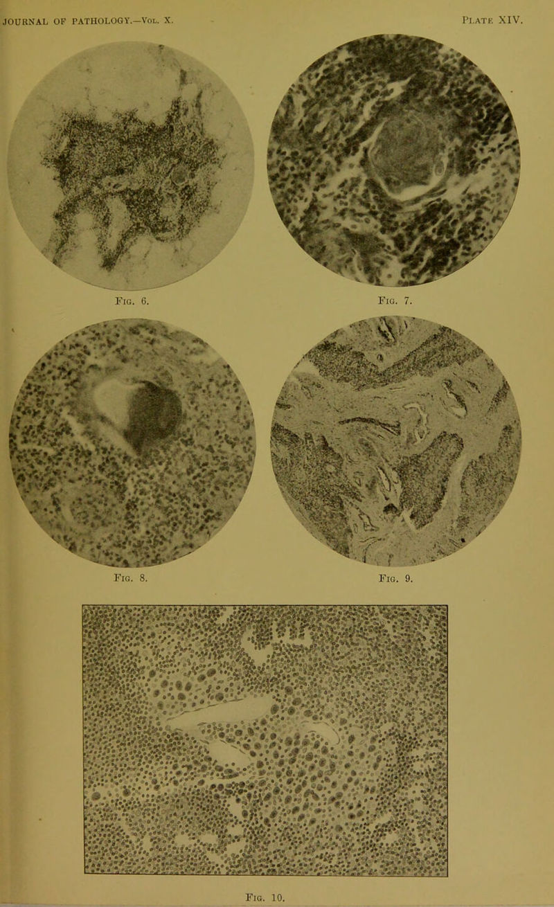 Fia. 8. Fig. 7. Fig. 9. Fig. 10,