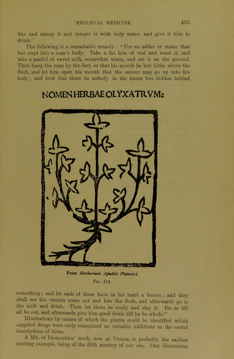 flax and stamp it and temper it with holy water, and give it him to ■drink.” The following is a remarkable remedy : “ For an adder or snake that has crept into a man’s body. Take a fat loin of veal and roast it, and take a panful of sweet milk, somewhat warm, and set it on the ground. Then hang the man by the feet, so that his mouth be but little above the flesh, and let him open his mouth that the savour may go up into his body; and look that there be nobody in the house but hidden behind NOMEN HERBAE OLYX ATR VMj From Htrbarium Apultii Platonici. Fia. 114. something; and let each of them have in his hand a besom ; and they shall see the vermin come out and bite the flesh, and afterwards go to the milk and drink. Then let them be ready and slay it. Do so till all be out, and afterwards give him good drink till he be whole.” Illustrations by means of which the plants could be identified which supplied drugs were early recognised as valuable additions to the verbal descriptions of them. A MS. of Dioscorides’ work, now at Vienna, is probably the earliest existing example, being of the fifth century of our era. One illustration