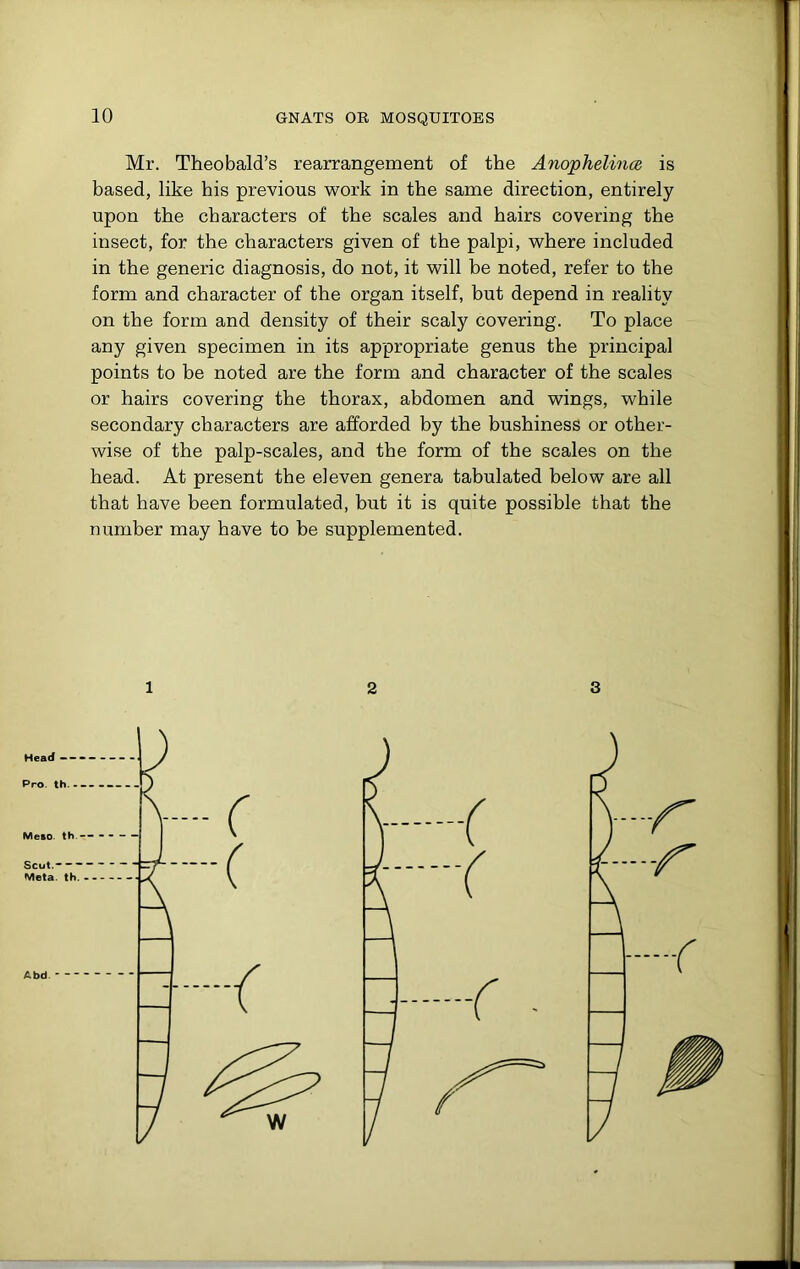 Mr. Theobald’s rearrangement of the Anophelince, is based, like his previous work in the same direction, entirely upon the characters of the scales and hairs covering the insect, for the characters given of the palpi, where included in the generic diagnosis, do not, it will be noted, refer to the form and character of the organ itself, but depend in reality on the form and density of their scaly covering. To place any given specimen in its appropriate genus the principal points to be noted are the form and character of the scales or hairs covering the thorax, abdomen and wings, while secondary characters are afforded by the bushiness or other- wise of the palp-scales, and the form of the scales on the head. At present the eleven genera tabulated below are all that have been formulated, but it is quite possible that the number may have to be supplemented. 1 2 3