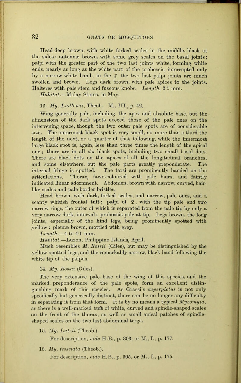 Head deep brown, with white forked scales in the middle, black at the sides; antennae brown, with some grey scales on the basal joints; palpi with the greater part of the two last joints white, forming white ends, nearly as long as the white part of the proboscis, interrupted only by a narrow white band; in the $ the two last palpi joints are much swollen and brown. Legs dark brown, with pale apices to the joints. Halteres with pale stem and fuscous knobs. Length, 2'5 mm. Habitat.—Malay States, in May. 13. My. Ludloivii, Theob. M., III., p. 42. Wing generally pale, including the apex and absolute base, but the dimensions of the dark spots exceed those of the pale ones on the intervening space, though the two outer pale spots are of considerable size. The outermost black spot is very small, no more than a third the length of the next, or a quarter of that following, while the innermost large black spot is, again, less than three times the length of the apical one; there are in all six black spots, including two small basal dots. There are black dots on the apices of all the longitudinal, branches, and some elsewhere, but the pale parts greatly preponderate. The internal fringe is spotted. The tarsi are prominently banded on the articulations. Thorax, fawn-coloured with pale hairs, and faintly indicated linear adornment. Abdomen, brown with narrow, curved, hair- like scales and pale border bristles. Head brown, with dark, forked scales, and narrow, pale ones, and a scanty whitish frontal tuft; palpi of ?, with the tip pale and two narrow rings, the outer of which is separated from the pale tip by only a very narrow dark, interval; proboscis pale at tip. Legs brown, the long joints, especially of the hind legs, being prominently spotted with yellow : pleurae brown, mottled with grey. Length.—4 to 4’1 mm. Habitat.—Luzon, Philippine Islands, April. Much resembles M. Bossii (Giles), but may be distinguished by the yellow spotted legs, and the remarkably narrow, black band following the white tip of the palpus. 14. My. Bossii (Giles). The very extensive pale base of the wing of this species, and the marked preponderance of the pale spots, form an excellent distin- guishing mark of this species. As Grassi’s siiperpictus is not only specifically but generically distinct, there can be no longer any difficulty in separating it from that form. It is by no means a typical Myzomyia, as there is a well-marked tuft of white, curved and spindle-shaped scales on the front of the thorax, as well as small apical patches of spindle- •shaped scales on the two last abdominal terga. 15. My. Lutzii (Theob.). For description, vide H.B., p. 303, or M., I., p. 177. 16. My. tesselata (Theob.). For description, vide H.B., p. 305, or M., I., p. 175.
