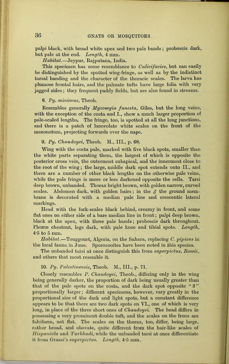 palpi black, with broad white apex and two pale bands; proboscis dark, but pale at the end. Length, 4 mm. Habitat.—Jeypur, Eajputana, India. This specimen has some resemblance to Culicifacies, but can easily be distinguished by the spotted wing-fringe, as well as by the indistinct tarsal banding and the character of the thoracic scales. The larva has plimiose frontal hairs, and the palmate tufts have large folia with very jagged sides; they frequent paddy fields, but are also found in streams. 8. Py. minimus, Theob. Eesembles generally Myzomyia fimesta, Giles, but the long veins, with the exception of the costa and I., show a much larger proportion of pale-scaled lengths. The fringe, too, is spotted at aU the long junctions, and there is a patch of lanceolate white scales on the front of the mesonotum, projecting forwards over the nape. 9. Py. Chaudoyei, Theob. M., III., p. 68. Wing with the costa pale, marked with five black spots, smaller than the white parts separating them, the largest of which is opposite the posterior cross vein, the outermost subapical, and the innermost close to the root of the wing; the large, middle dark spot extends onto II., and there are a number of other black lengths on the otherwise pale veins, while the pale fringe is more or less darkened opposite the cells. Tarsi deep brown, unbanded. Thorax bright brown, with golden narrow, curved scales. Abdomen dark, with golden hairs; in the d' the ground mem- brane is decorated with a median pale line and crescentic lateral markings. Head with the fork-scales black behind, creamy in front, and some flat ones on either side of a bare median line in front; palpi deep brown, black at the apex, with three pale bands; proboscis dark throughout. Pleurae chestnut, legs dark, with pale knee and tibial spots. Length, 4'5 to 5 mm. Habitat,—Touggourt, Algeria, on the Sahara, replacing C.])iinens in the local fauna m June. Sporozooites have been noted in this species. The unbanded tarsi at once distinguish this from superpictus, Bossii, and others that most resemble it. 10. Py. Palestinensis, Theob. M., III., p. 71. Closely resembles P. Chaudoyei, Theob., differing only in the wing being generally darker, the proportion of dark being usually greater than that of the pale spots on the costa, and the dark spot opposite “ 3 ” proportionally larger; different specimens, however, vary greatly in the proportional size of the dark and light spots, but a constant difference appears to be that there are two dark spots on VI., one of which is very long, in place of the three short ones of Chaudoyei. The head differs in possessing a very prominent double tuft, and the scales on the frons are falciform, not flat. The scales on the thorax, too, differ, being large, rather broad, and obovate, quite different from the hair-like scales of Hispaniola and Turhhudi, while the unbanded tarsi at once differentiate it from Grassi’s supcrpictus. Length, 4'5 mm.