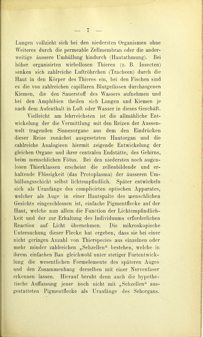 Lungen vollzieht sich bei den niedersten Organismen ohne Weiteres durch die permeable Zellmembran oder die ander- weitige äussere Umhüllung hindurch (Hautathmung). Bei höher organisirten v/irbellosen Thieren (z. ß. Insecten) senken sich zahlreiche Luftröhrchen (Tracheen) durch die Haut in den Körper des Thieres ein, bei den Fischen sind es die von zahlreichen capillaren Blutgefässen durchzogenen Kiemen, die den Sauerstoff des Wassers aufnehmen und bei den Amphibien theilen sich Lungen und Kiemen je nach dem Aufenthalt in Luft oder Wasser in dieses Geschäft. Vielleicht am lehrreichsten ist die allmähliche Ent- wickelung der die Vermittlung mit den Reizen der Aussen- welt tragenden Sinnesorgane aus dem den Eindrücken dieser Reize zunächst ausgesetzten Hautorgan und die zahlreiche Analogieen hiermit zeigende Entwickelung der gleichen Organe und ihrer centralen Endstätte, des Gehirns, beim menschlichen Fötus. Bei den niedersten noch augun- losen Thierklassen erscheint die zellenbildende und er- haltende Flüssigkeit (das Protoplasma) der äusseren Um- hüllungsschicht selbst lichtempfindlich. Später entwickeln sich als Uranfänge des complicirten optischen Apparates, welcher als Auge in einer Hautspalte des menschlichen Gesichts eingeschlossen ist, einfache Pigmentflecke auf der Haut, welche nun allein die Function der Lichtempfindlich- keit und der zur Erhaltung des Individuums erforderlichen Reaction auf Licht übernehmen. Die mikroskopische Untersuchung dieser Flecke hat ergeben, dass sie bei einer nicht geringen Anzahl von Thierspecies aus einzelnen oder mehr minder zahlreichen „Sehzellen“ bestehen, welche in ihrem einfachen Bau gleichwohl unter stetiger Fortentwick- lung die wesentlichen Formelemente des späteren Auges und den Zusammenhang derselben mit einer Nervenfaser erkennen lassen. Hierauf beruht denn auch die hypothe- tische Auffassung jener noch nicht mit „Sehzellen“ aus- gestatteten Pigmentflecke als Uranfänge des Sehorgans.