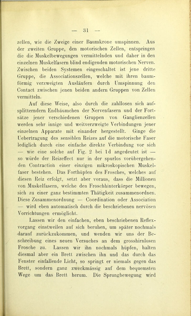 zellen, wie die Zweige einer Baumkrone umspinnen. Aus der zweiten Gruppe, den motorischen Zellen, entspringen die die Muskelbewegungen vermittelnden und daher in den einzelnen Muskelfasern blind endigenden motorischen Nerven. Zwischen beiden Systemen eingeschaltet ist jene dritte Gruppe, die Associationszellen, welche mit ihren baum- förmig verzweigten Ausläufern durch Umspinnung den Gontact zwischen jenen beiden andern Gruppen von Zellen vermitteln. Auf diese Weise, also durch die zahllosen sich auf- splitterndern Endbäumchen der Nervenfasern und der Fort- sätze jener verschiedenen Gruppen von Ganglienzellen werden sehr innige und weitverzweigte Verbindungen jener einzelnen Apparate mit einander hergestellt. Ginge die Uebertragung des sensiblen Reizes auf die motorische Faser lediglich durch eine einfache direkte Verbindung vor sich — wie eine solche auf Fig. 2 bei Id angedeutet ist — so würde der Reizeffect nur in der spurlos vorübergehen- den Contractioh einer einzigen mikroskopischen Muskel- faser bestehen. Das Forthüpfen des Frosches, welches auf diesen Reiz erfolgt, setzt aber voraus, dass die Millionen von Muskelfasern, welche den Froschhinterkörper bewegen, sieh zu einer ganz bestimmten Thätigkeit zusammenordnen. Diese Zusammenordnung — Coordination oder Association — wird eben automatisch durch die beschriebenen nervösen Vorrichtungen ermöglicht. Lassen wir den einfachen, eben beschriebenen Retlex- vorgang einstweilen auf sich beruhen, um später nochmals darauf zurückzukommen, und wenden wir uns der Be- schreibung eines neuen Versuches an dem grosshirnlosen Frosche zu. Lassen wir ihn nochmals hüpfen, halten diesmal aber ein Brett zwischen ihn und das durch das Fenster einfallende Licht, so springt er niemals gegen das Brett, sondern ganz zweckmässig auf dem bequemsten Wege um das Brett herum. Die Sprungbewegung wird
